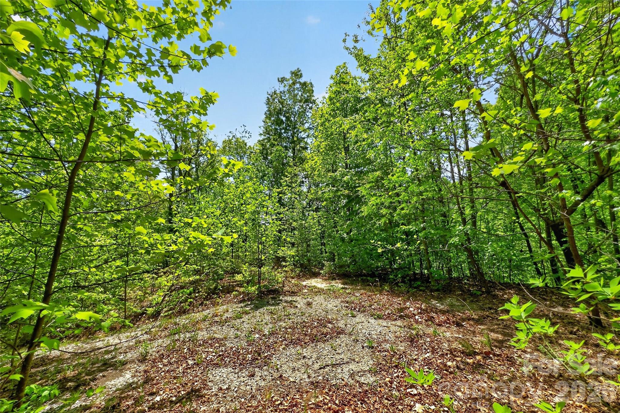 Gateway Mountain - Land