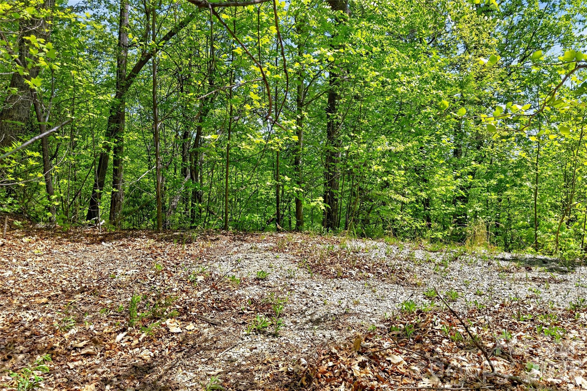 3.41 acres inside Gateway Mountain—located at the end of Bobcat Drive for ultimate privacy and peace. This beautiful lot offers the potential for year-round mountain views with some clearing and already features a large, level homesite ready for your build.

Gateway Mountain is a gated community with exceptional amenities, including Lake George and Waterfall Park. Lake George features a floating dock, small beach, and picnic area—perfect for swimming, fishing, and non-motorized boating. Waterfall Park offers both upper and lower falls, with the lower falls providing a refreshing spot to cool off on warm summer days. A scenic wooded trail connects the two parks.

Enjoy miles of community roads ideal for walking, running, or cycling. Conveniently located just minutes from Old Fort, a rapidly growing outdoor recreation destination, and a short drive to Asheville, Black Mountain, and other popular areas.

This homesite is ready for your vision, with a large, level pad already in place. Well and septic will be needed. Schedule your tour today!