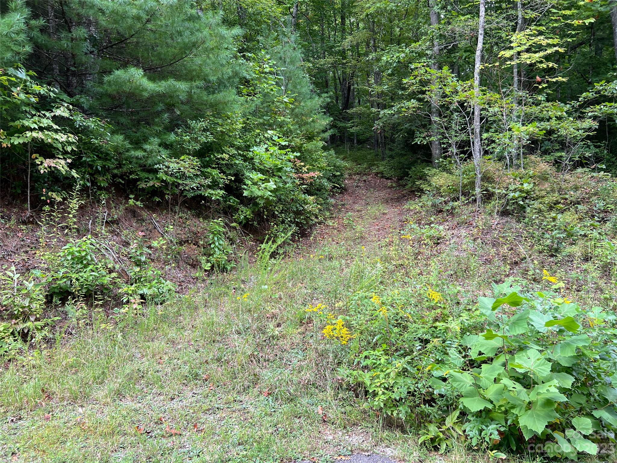 Big Hill - Land