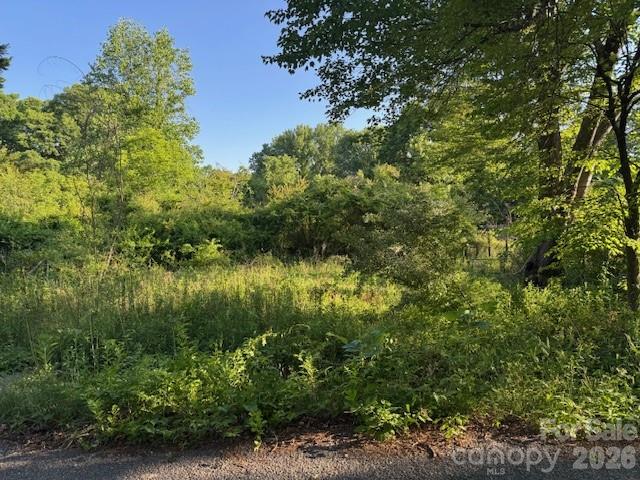 Level lot in an established neighborhood just 2.4 miles from downtown Hendersonville. Convenient location with public transit available and situated in the Hendersonville High School district. City water available. Septic tank status to be verified by buyer. Great opportunity to build in a desirable area close to shopping, dining, and local amenities.