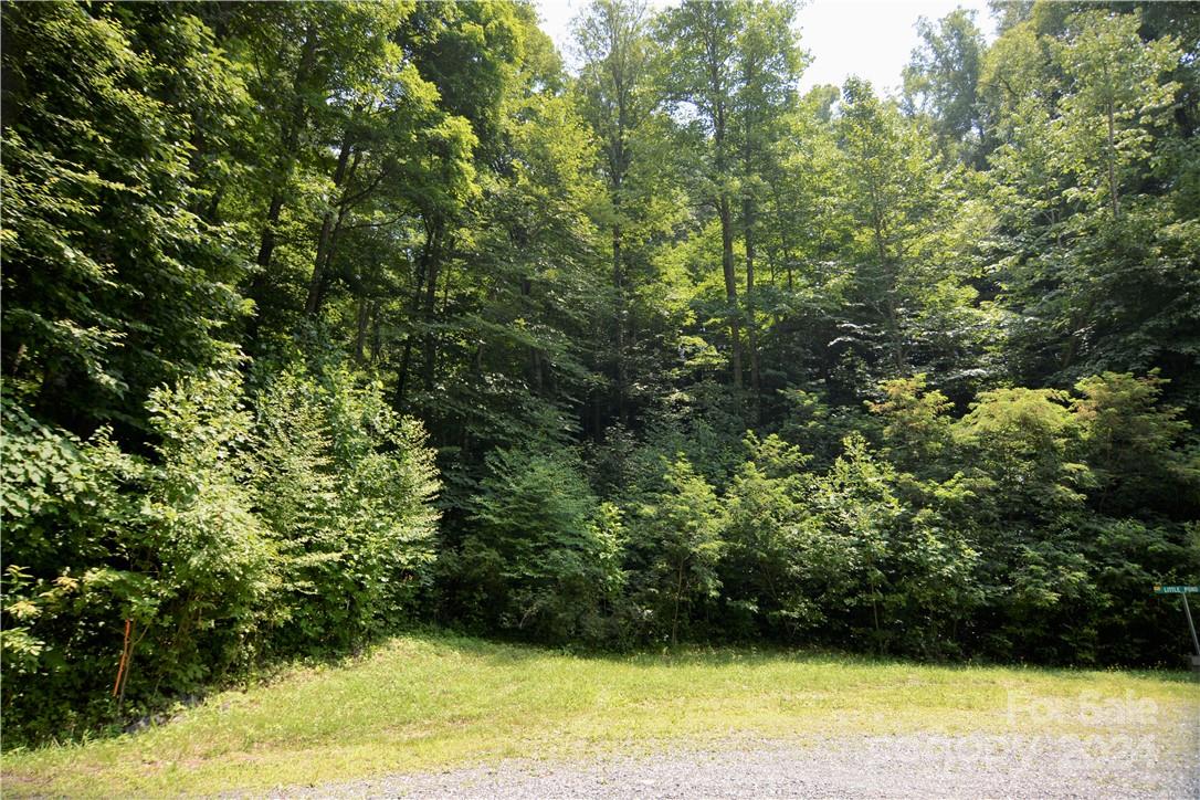Fantastic 2.1 acre lot just waiting for you to come build your dream mountain home or vacation rental in this gated community with under ground utilities.  This fully wooded property has a small stream running through it and is located approximately 10 minutes to Mars Hill and 15 minutes to Weaverville.  Offered at below tax value makes this property a must see on your list.