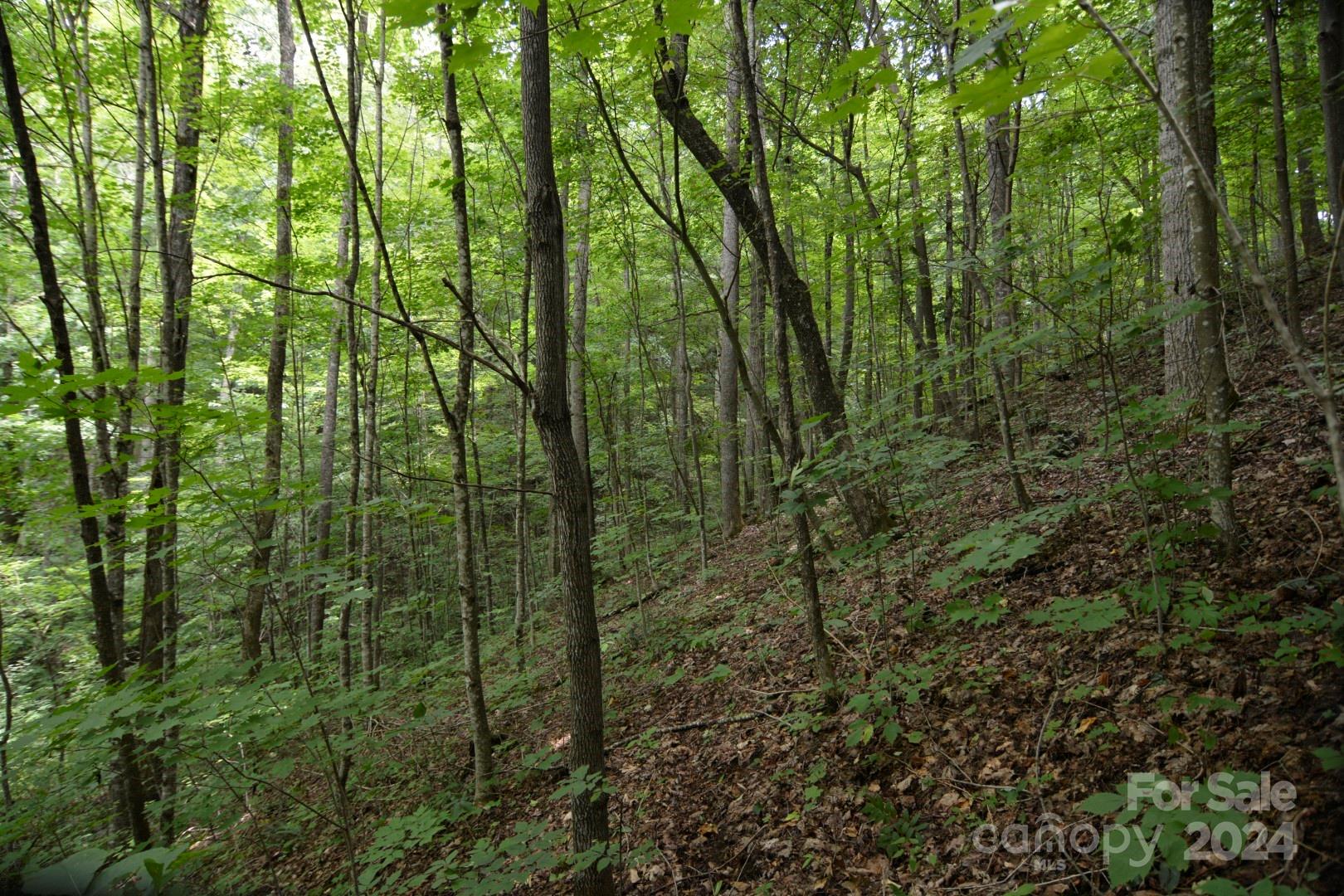 Red Wolf Run - Land
