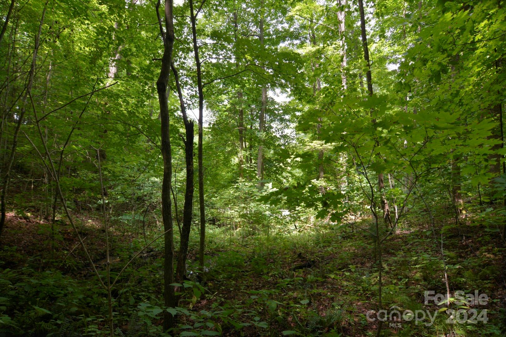 Red Wolf Run - Land