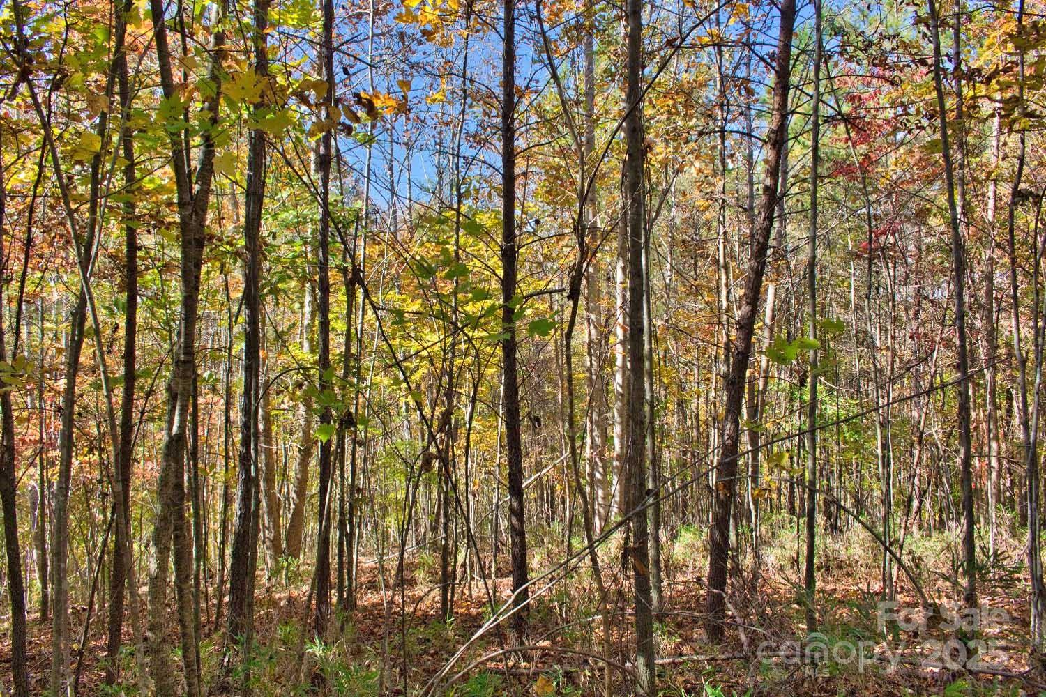 Clearwater Creek - Land