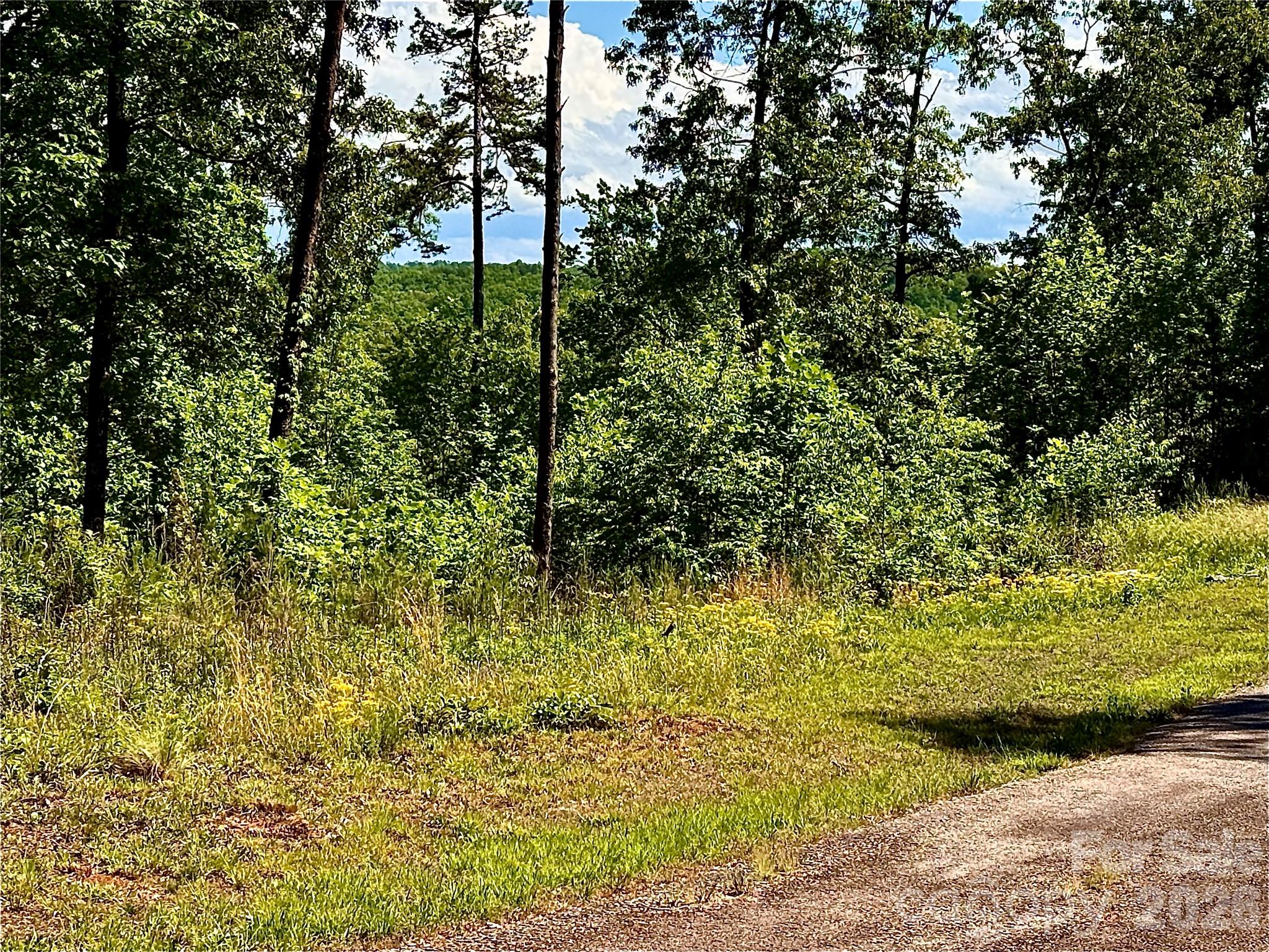Vista At Bills Mountain - Land
