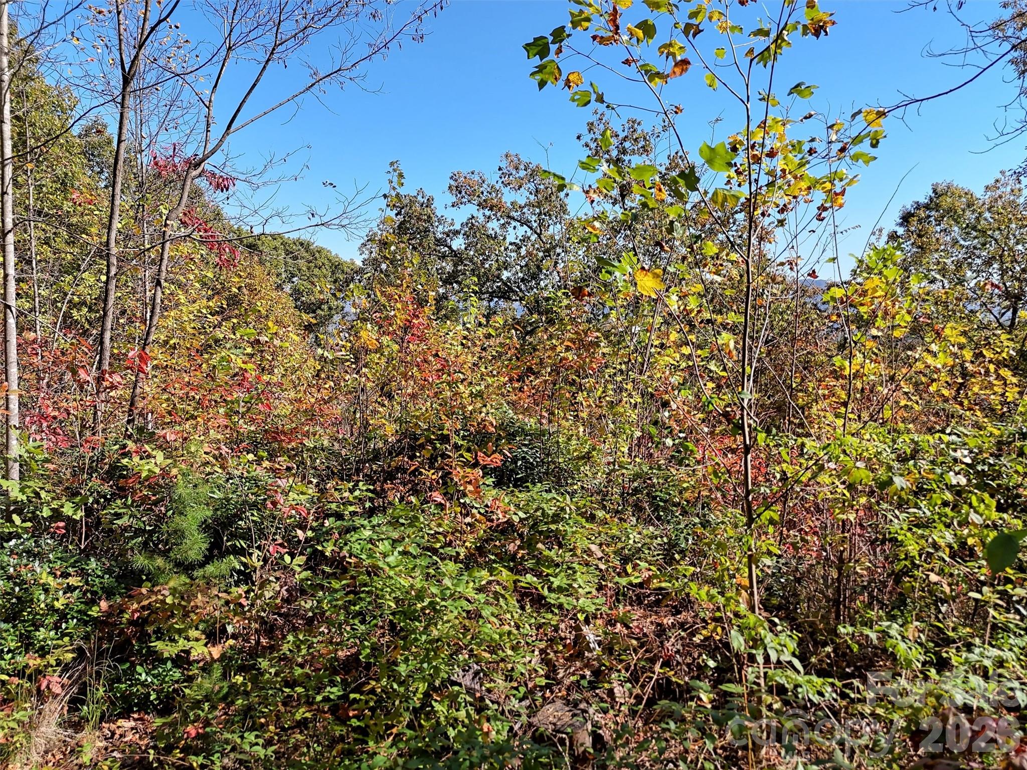 Indian Trail - Land