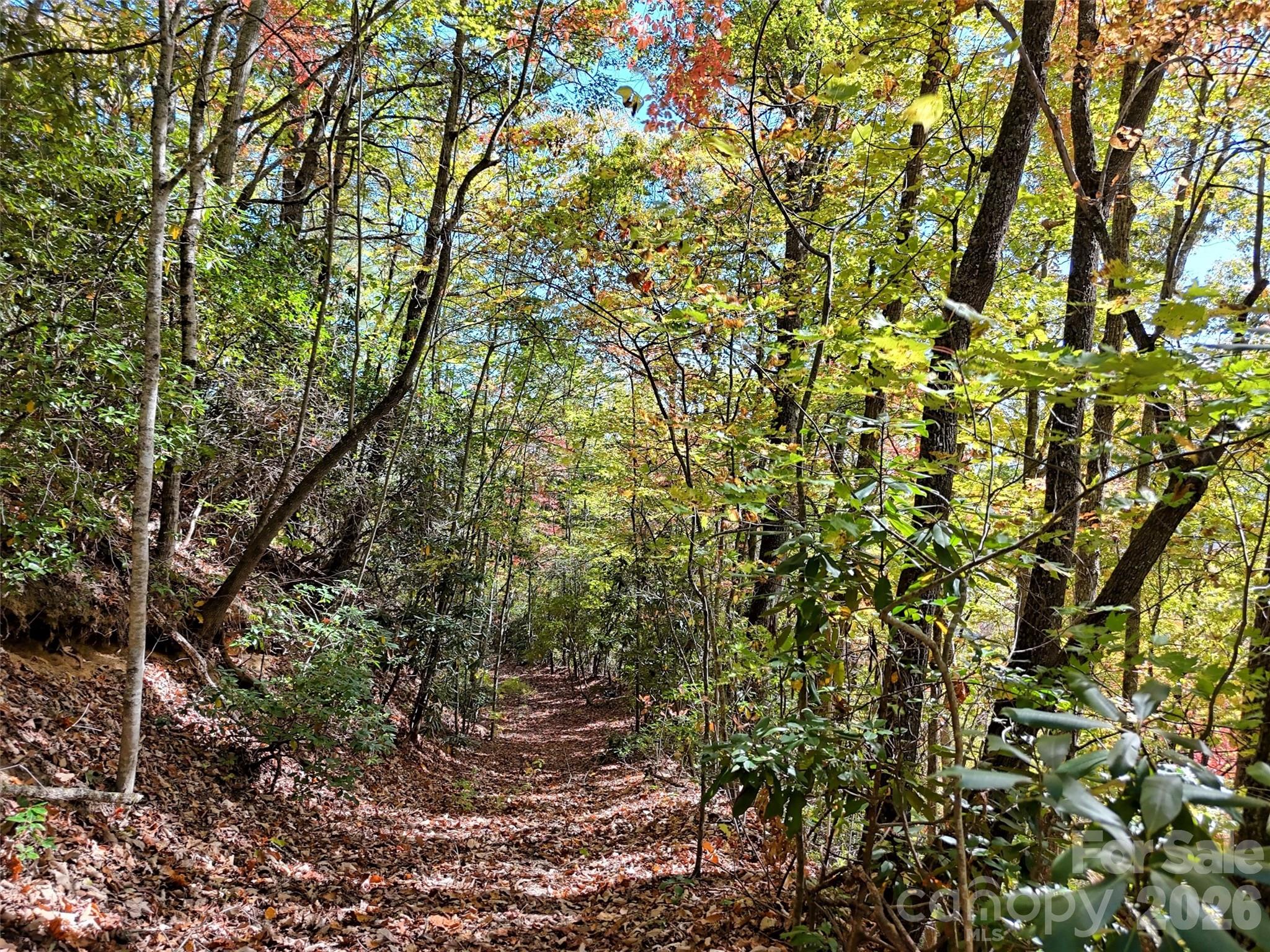 Indian Trail - Land