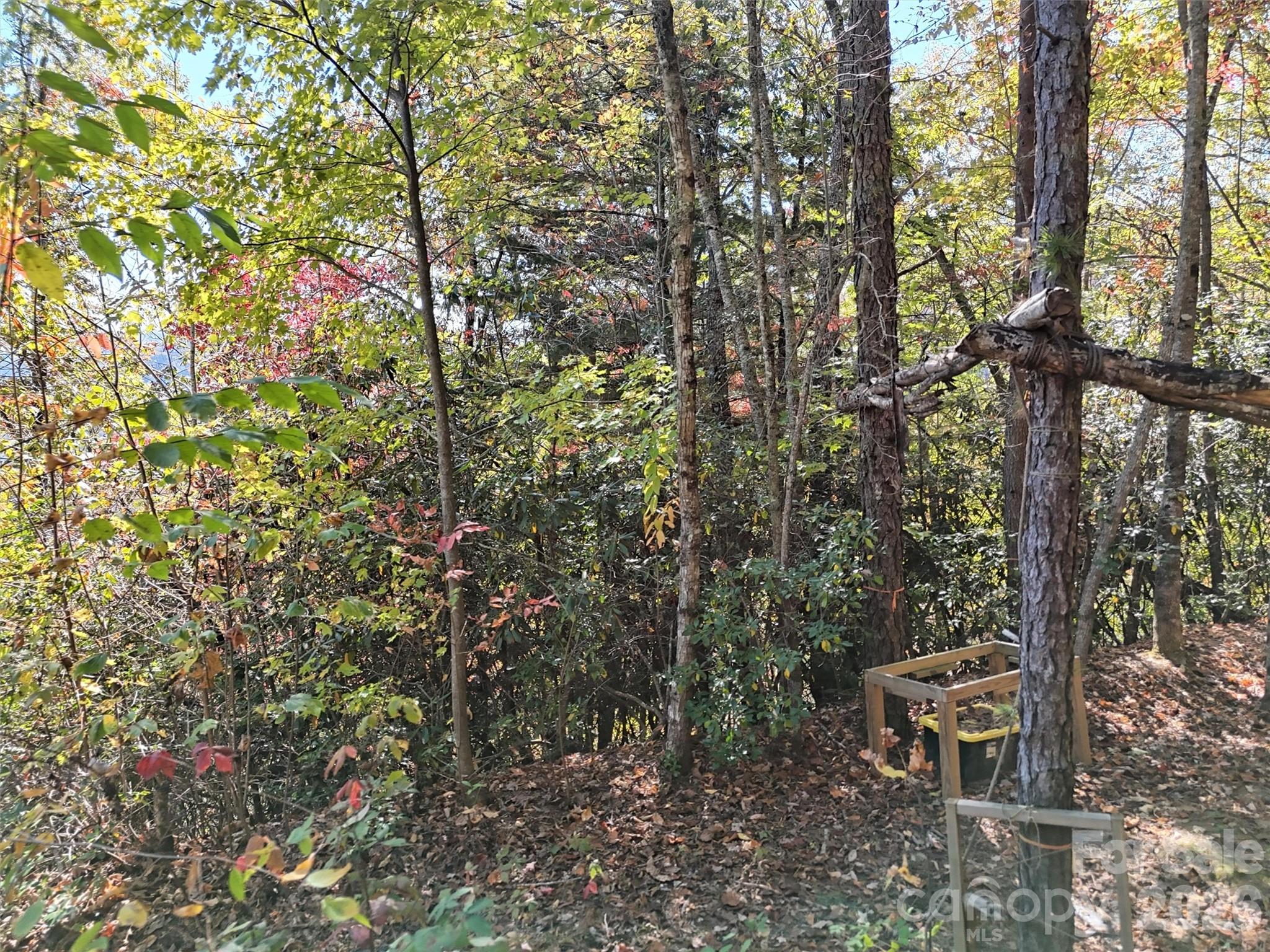 Indian Trail - Land