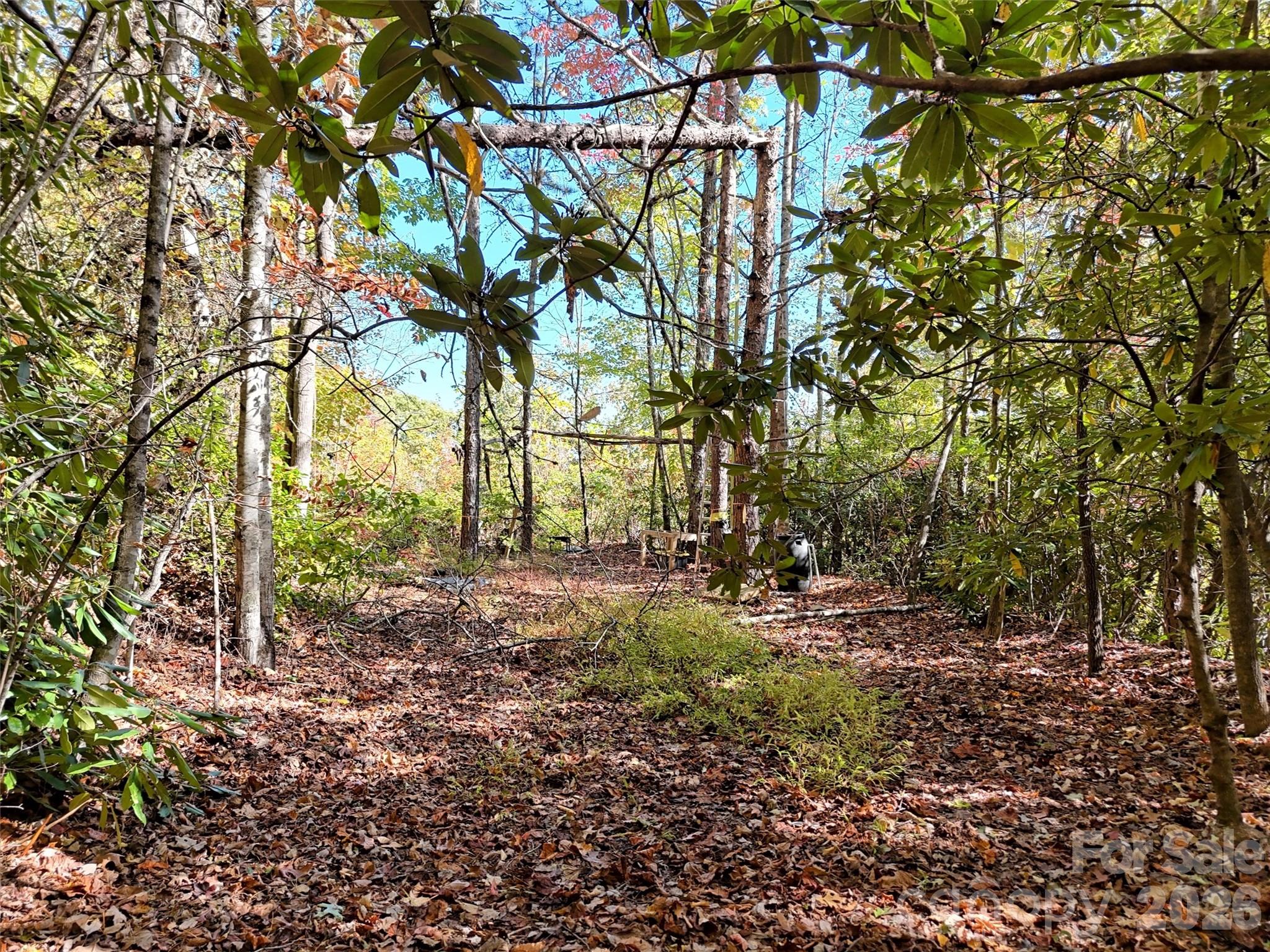Indian Trail - Land