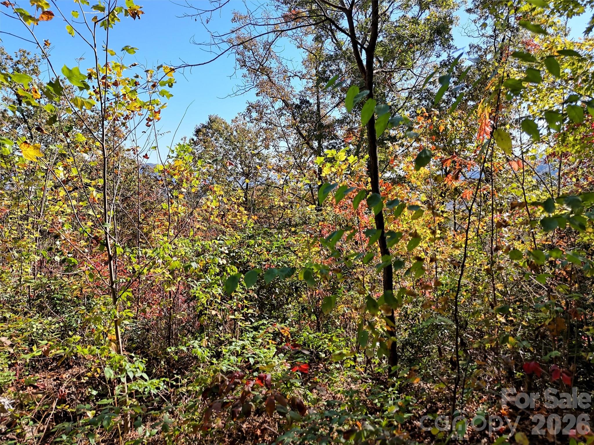 Indian Trail - Land