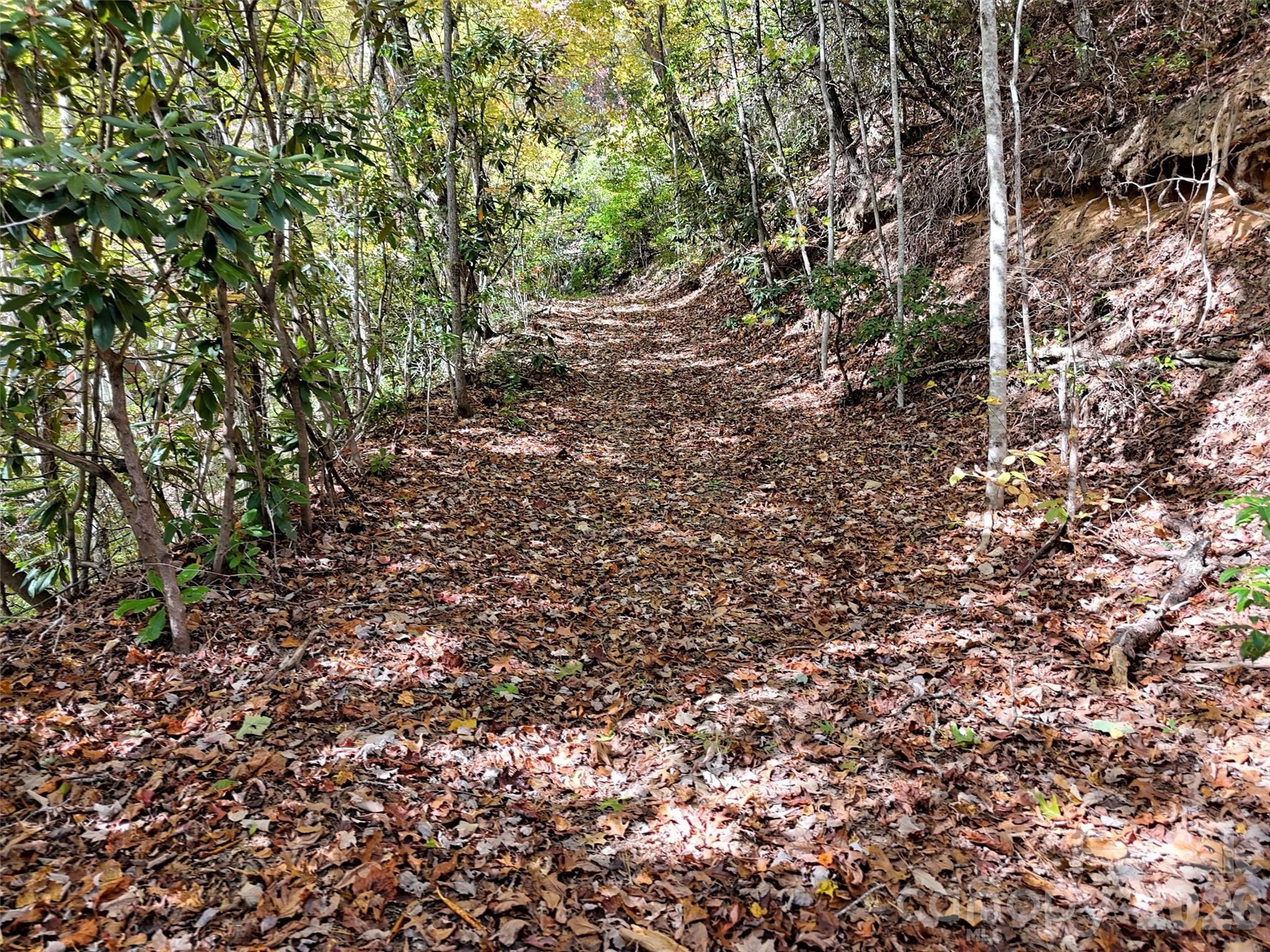 Indian Trail - Land