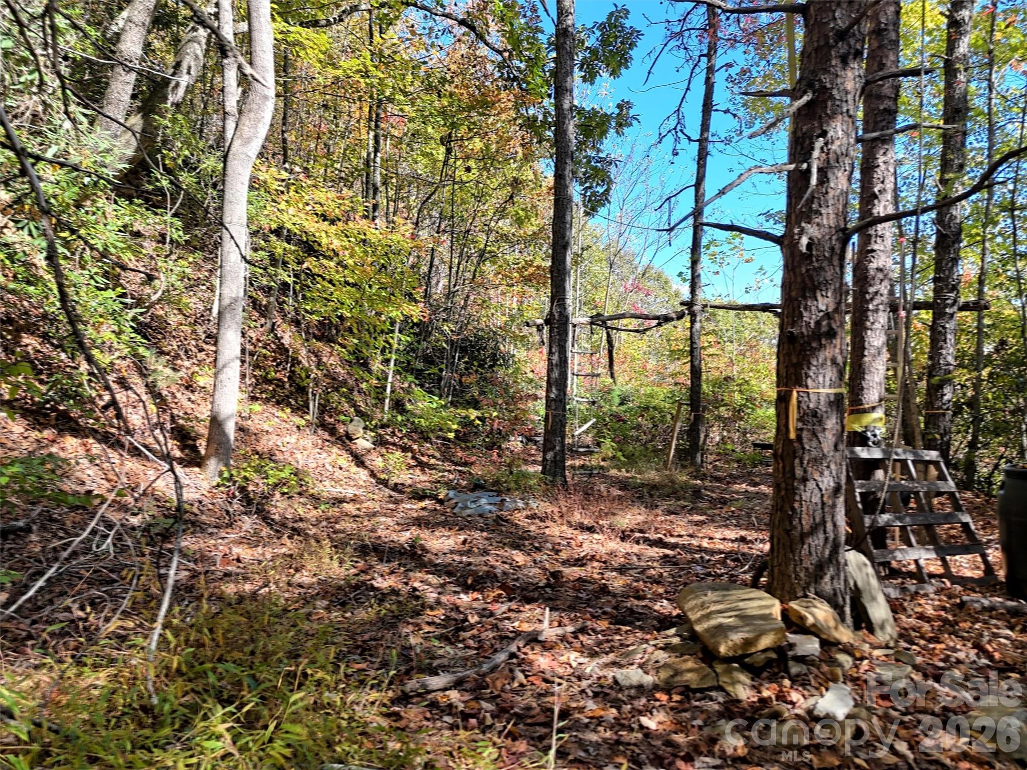 Indian Trail - Land
