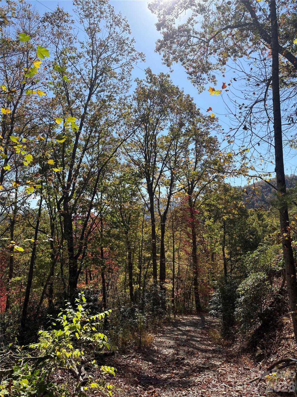 Indian Trail - Land