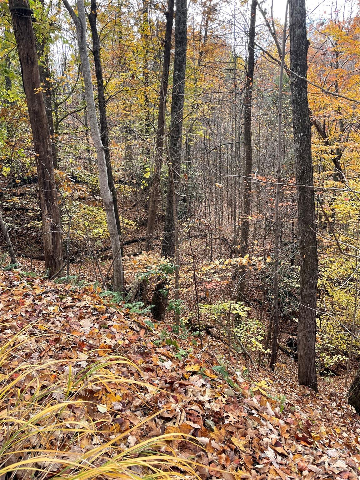 Forest Heights - Land