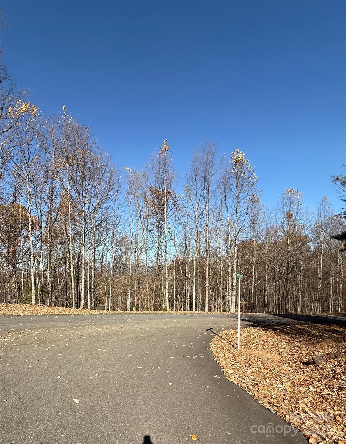 Forest Heights - Land