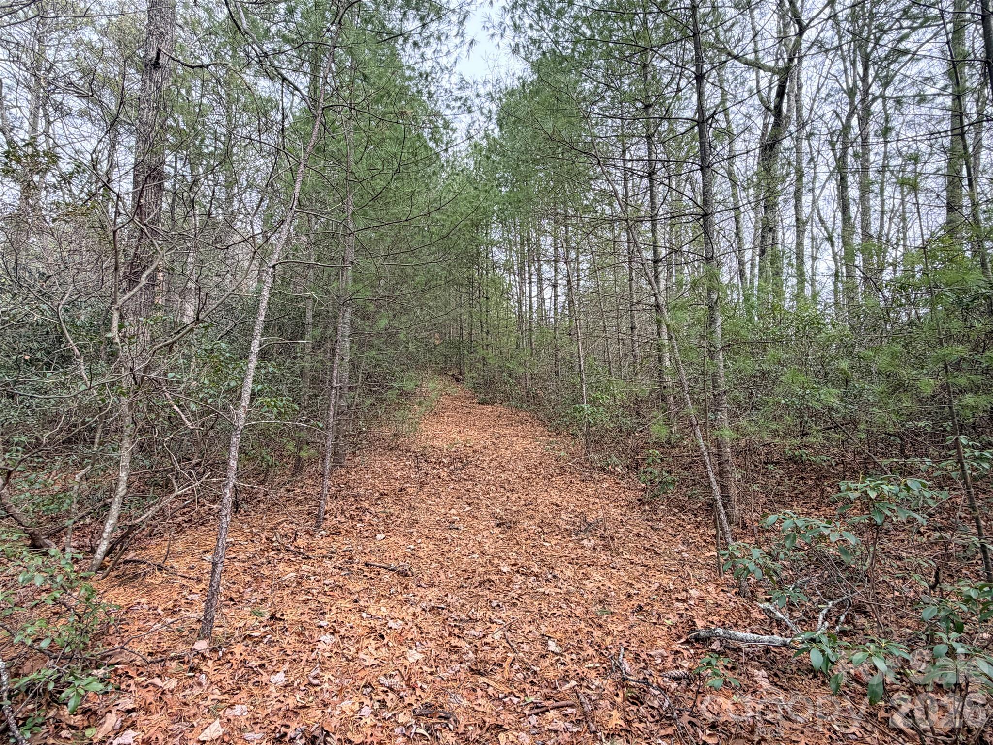 Grapevine Gap - Land