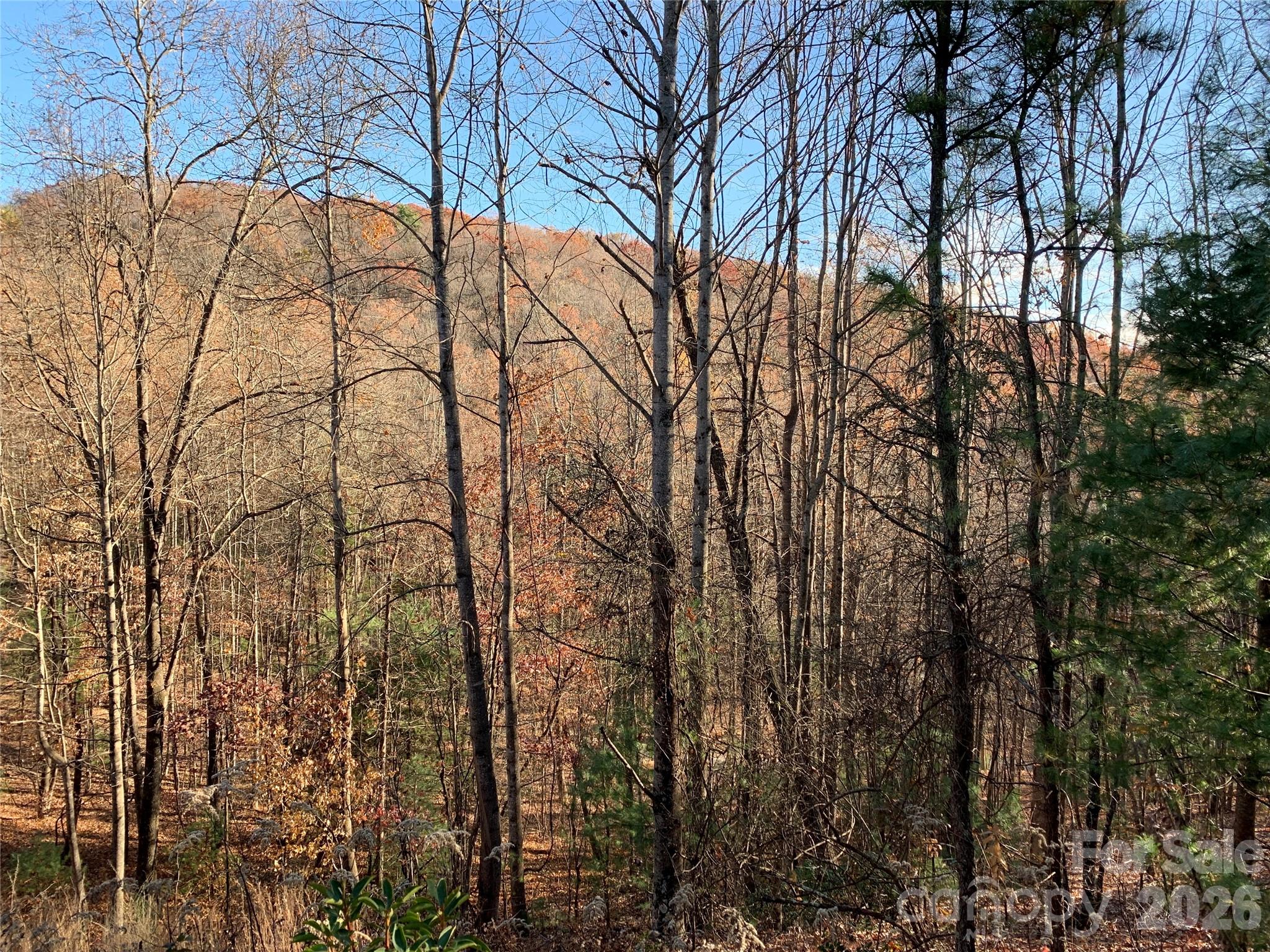 Enjoy rest and relaxation on this beautiful property less than 6 miles from the Blue Ridge Parkway. Located in an established community with easy access to both Blowing Rock and Boone. The lot offers easy access from the top with a building site that would allow a walkout basement. Mountain views can be opened up with minimal clearing. Access is easy on the community maintained gravel roads. Power to lot and fiber optic internet available. The property has a Lenoir mailing address but is more convenient to Blowing Rock and Boone. Blowing Rock Elementary and Watauga County High School districts. This building lot offers plenty of room to build your dream mountain home. Drive times: CLT - 2 Hours, Triad - 1.5 Hours, Raleigh - 3 Hours. An additional 3.069 acre adjoining lot is available for sale for $34,900. Here's a great opportunity for an oversized building lot for one buyer to build on or for 2 buyers to have adjoining properties. Interactive map with additional property info available in the Virtual Tour.