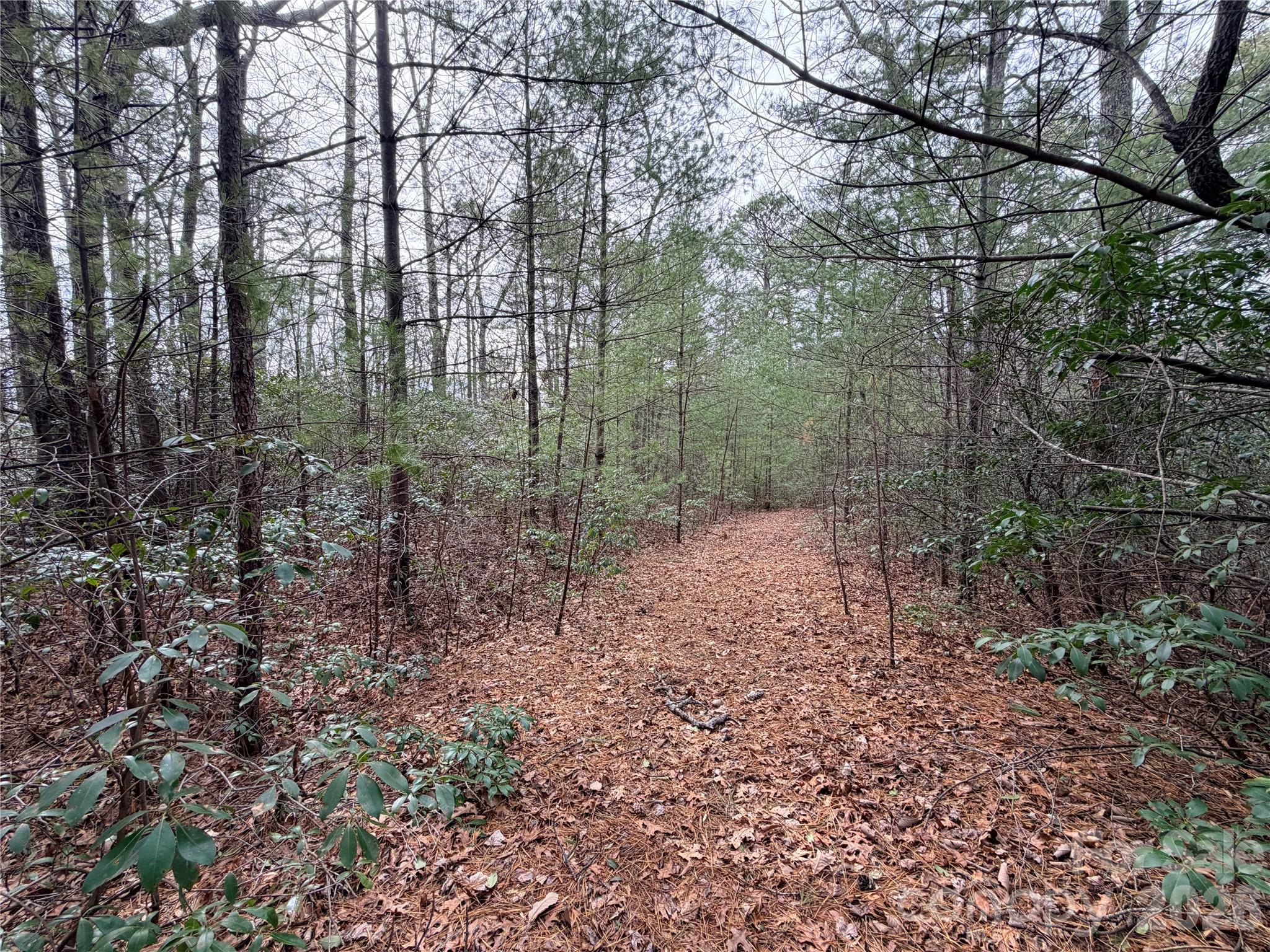 Grapevine Gap - Land