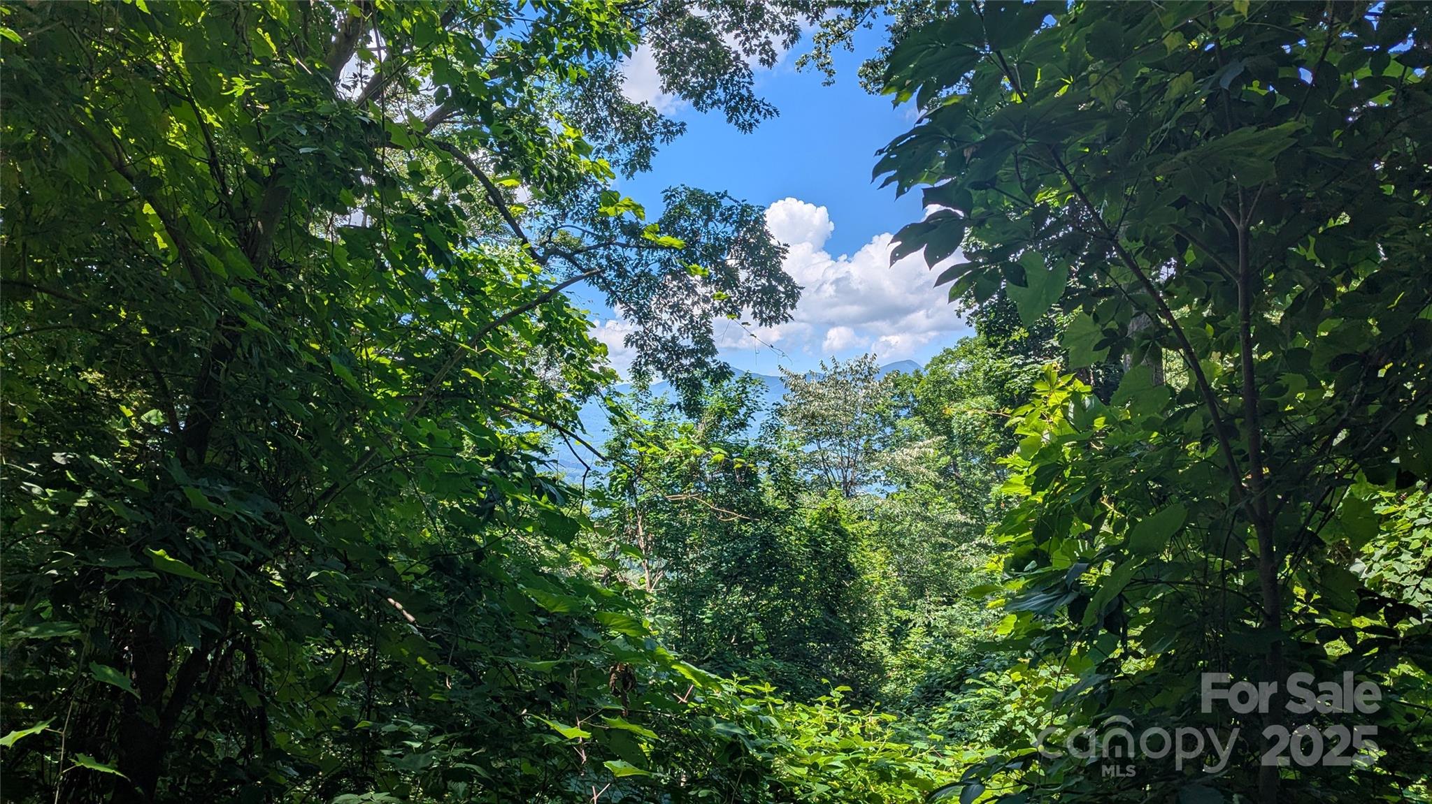 Smoky Mountain Sanctuary - Land