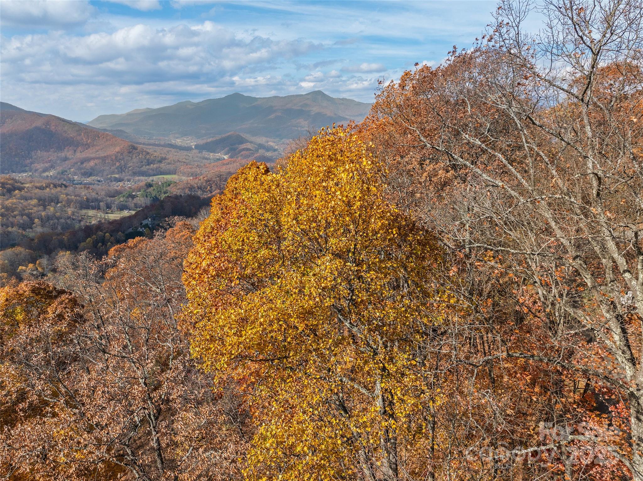 Smoky Mountain Sanctuary - Land