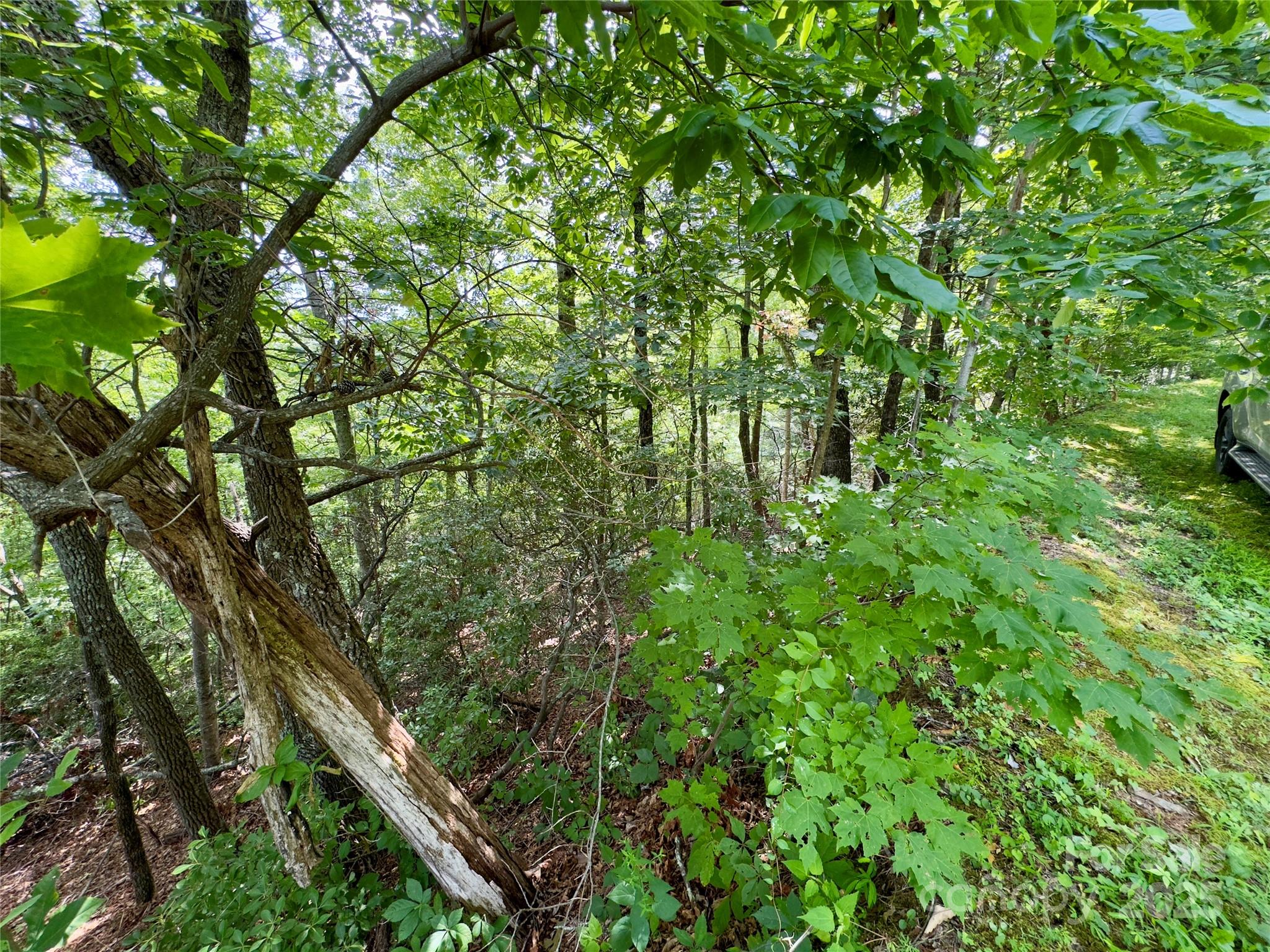 Creston - Land