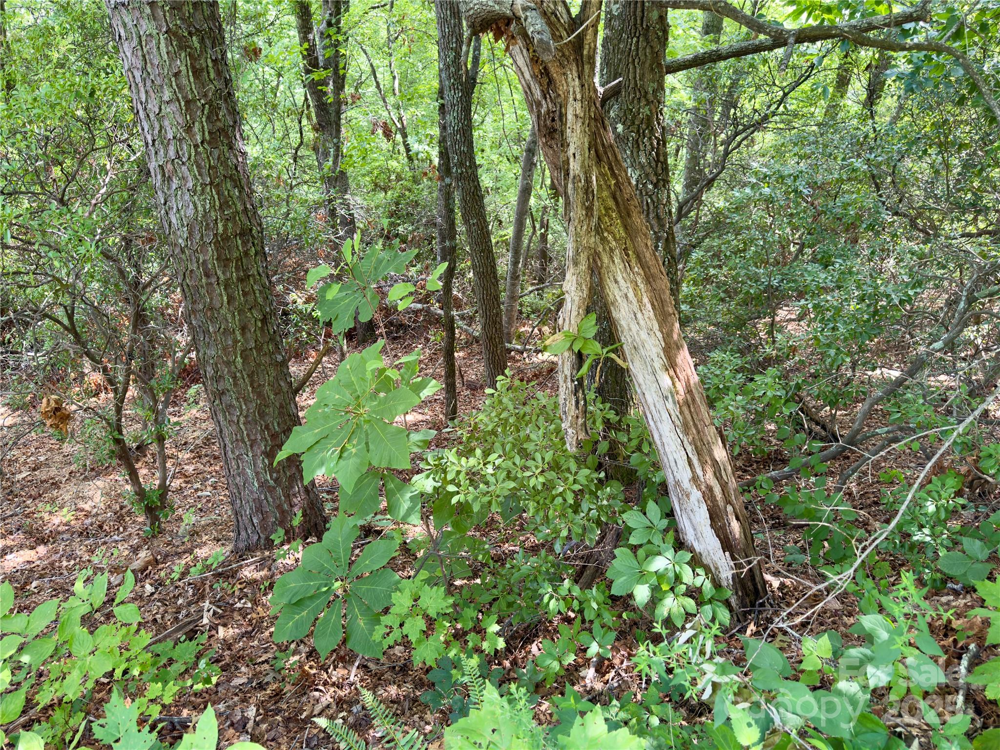 Creston - Land