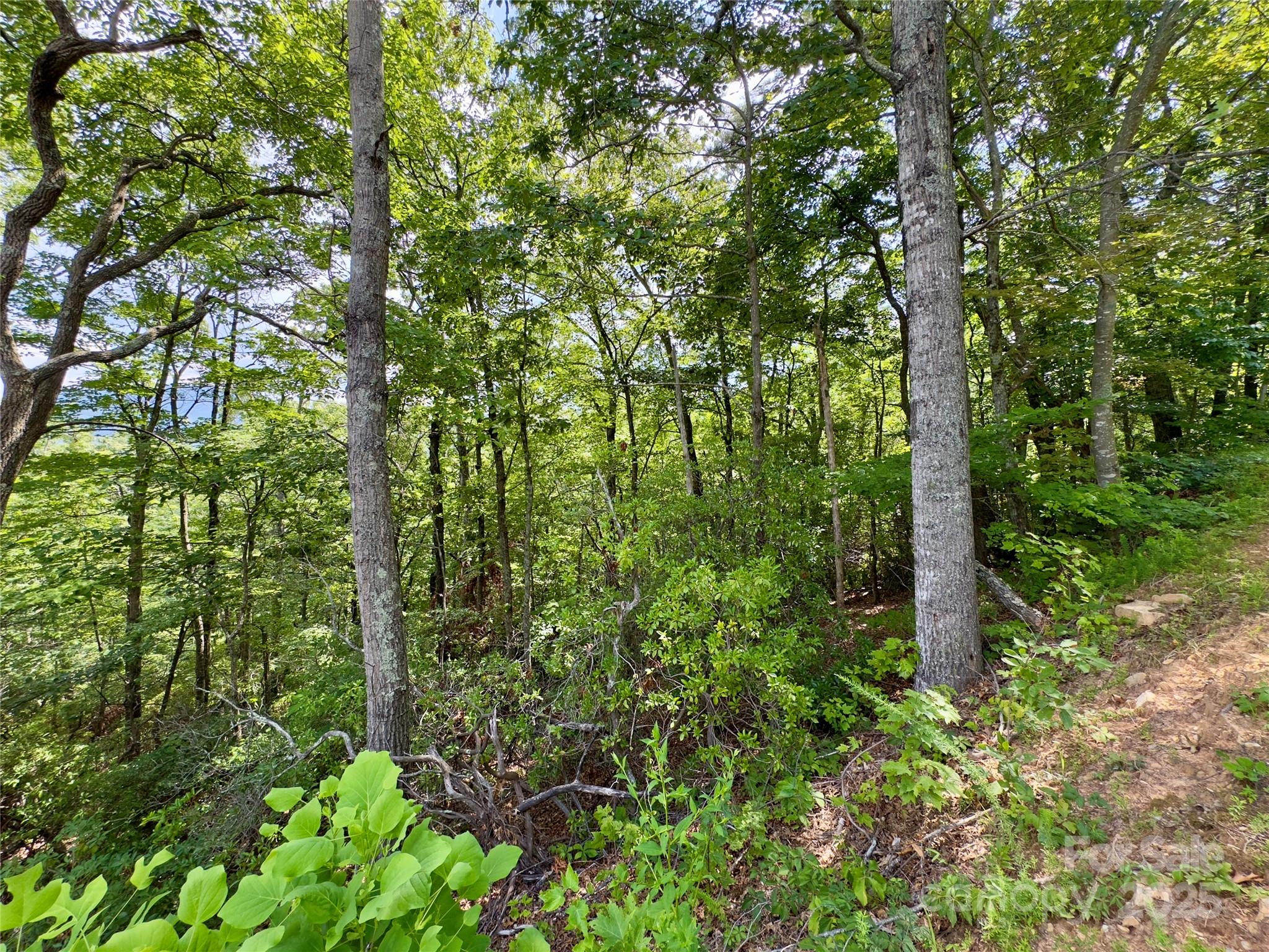 Discover the perfect place to build your mountain retreat on this beautiful 2.58-acre lot located in Creston—one of Black Mountain’s most sought-after gated communities. Known for its conservation-minded design, serene natural beauty, and high-end custom homes, Creston offers privacy, security, and a true connection to nature.

This gently sloping, wooded lot provides multiple potential build sites and may offer long-range mountain views with selective clearing. The peaceful setting is ideal for a full-time residence or a private second home surrounded by mature hardwoods, native flora, and abundant wildlife.

Creston features paved roads, underground utilities, high-speed internet, and a community water system. Residents also enjoy access to walking trails, dog park,  scenic overlooks, a community center, and over 1,100 acres of protected land shared with Foothills Land Conservancy.

Located just 15 minutes from downtown Black Mountain and 30 minutes to Asheville, this lot combines the tranquility of mountain living with convenient access to dining, arts, and shopping.

A rare opportunity to create your dream home in one of Western North Carolina’s most respected mountain communities.