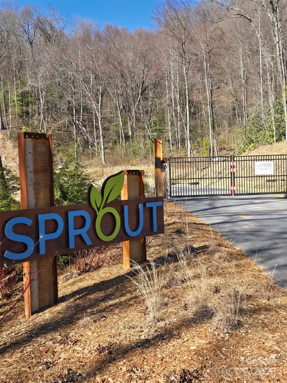 Sprout - Land