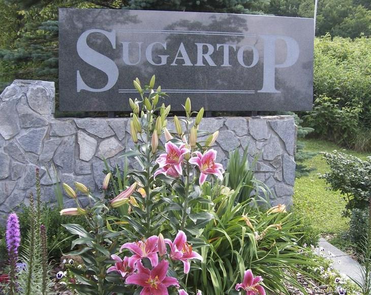 ONLINE AUCTION! List price is opening bid and subject to change. Name YOUR price on this mountain top NC condo! This is an amazing opportunity to own 2 condos that have been joined as one unit. Convert back to 2 units or just enjoy the extra room! Info reflects 2 condos combined. Bid now, this won't last long! Get more details --Ready2bid