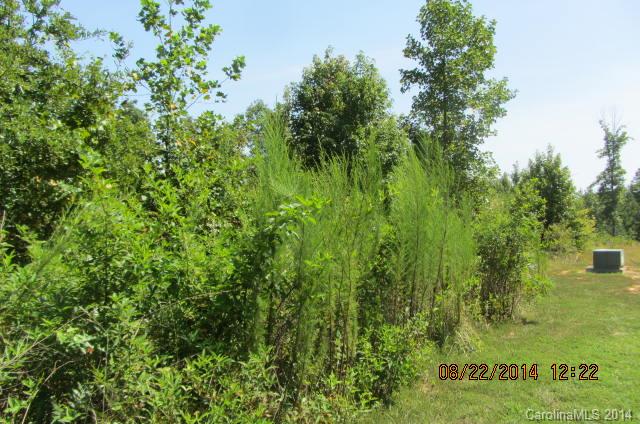Catawba Shores Estates - Land