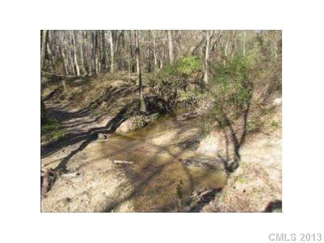 Gently sloping timberland logged 3-4 years ago leaving scattered hardwoods.  Strong hardwood timber along creek crossing the land.  Plenty of big game on land.  Nice cleared area about 200 yard off Elizabeth Dr.