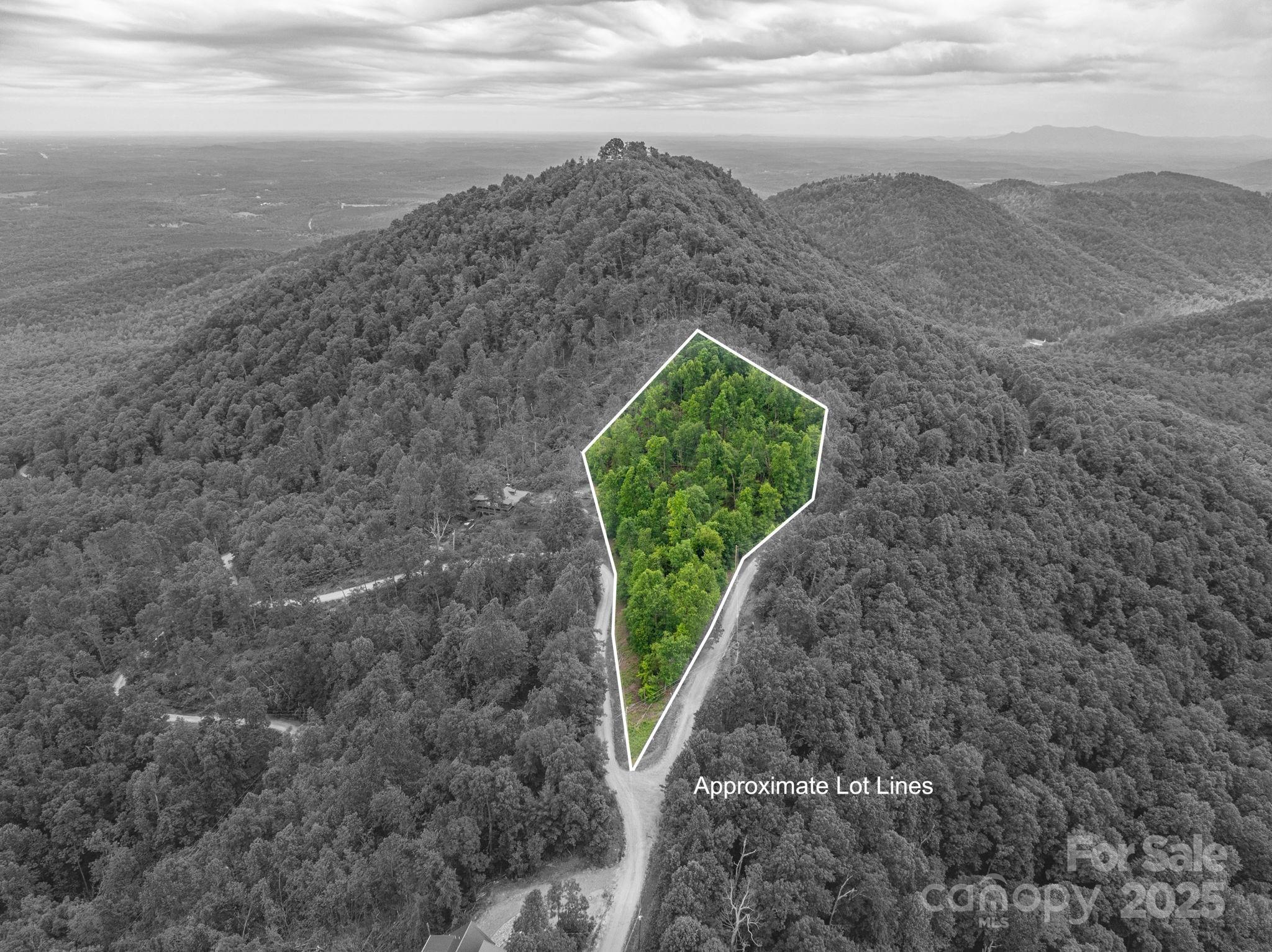 Located in the quiet, gated community of Pinnacle Ridge, this beautiful, wooded parcel of land is a perfect blank canvas for those looking to live in the mountains of Western North Carolina. This property provides a peaceful mountain retreat ideal for a private residence or a weekend getaway. Pinnacle Ridge is a quiet development that is located just a short drive from Lake Lure, Rutherfordton, and Asheville. This parcel offers the best of mountain living with convenient access to outdoor recreation, local vineyards, and charming small towns.