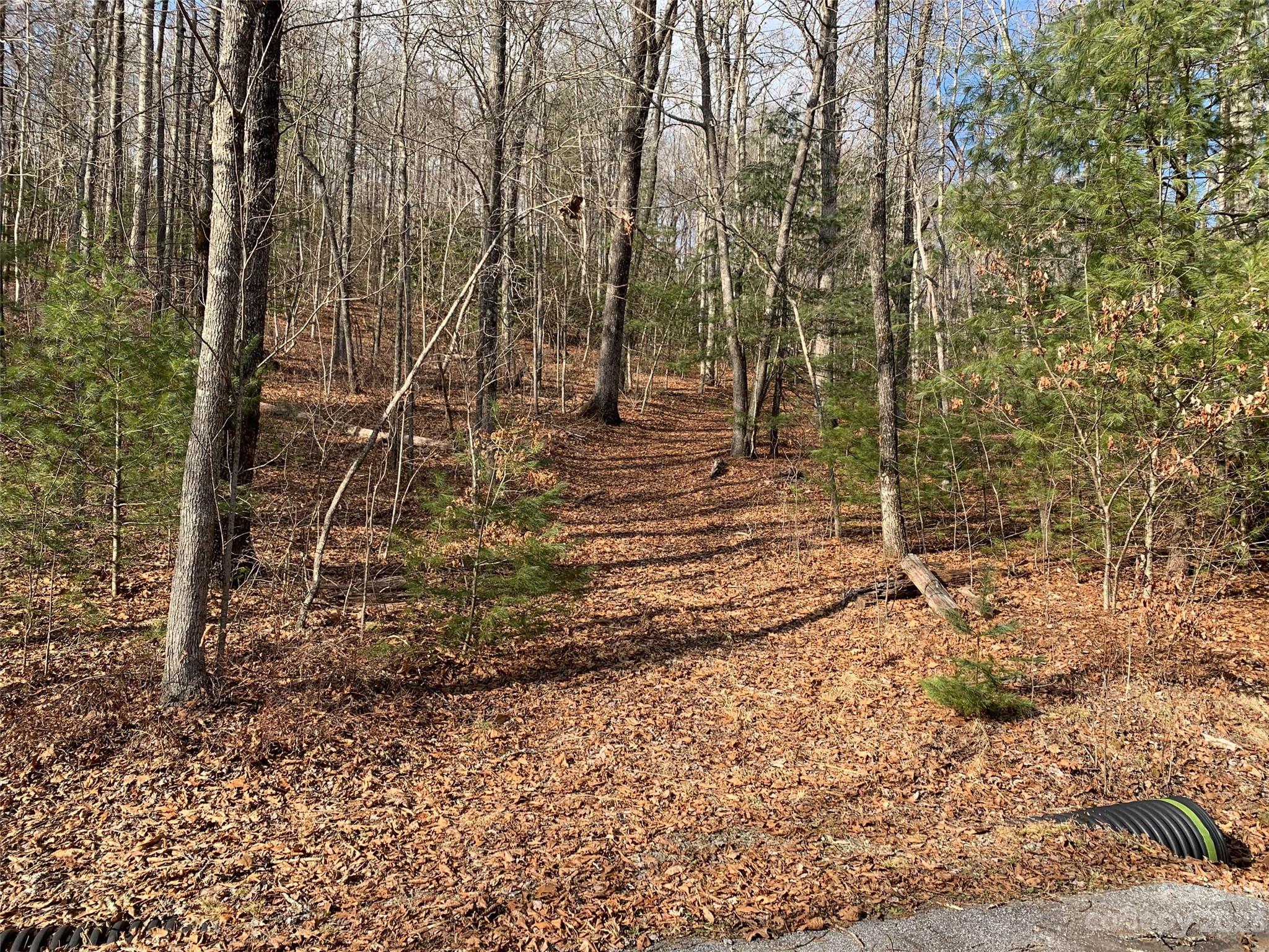 Big Hill - Land