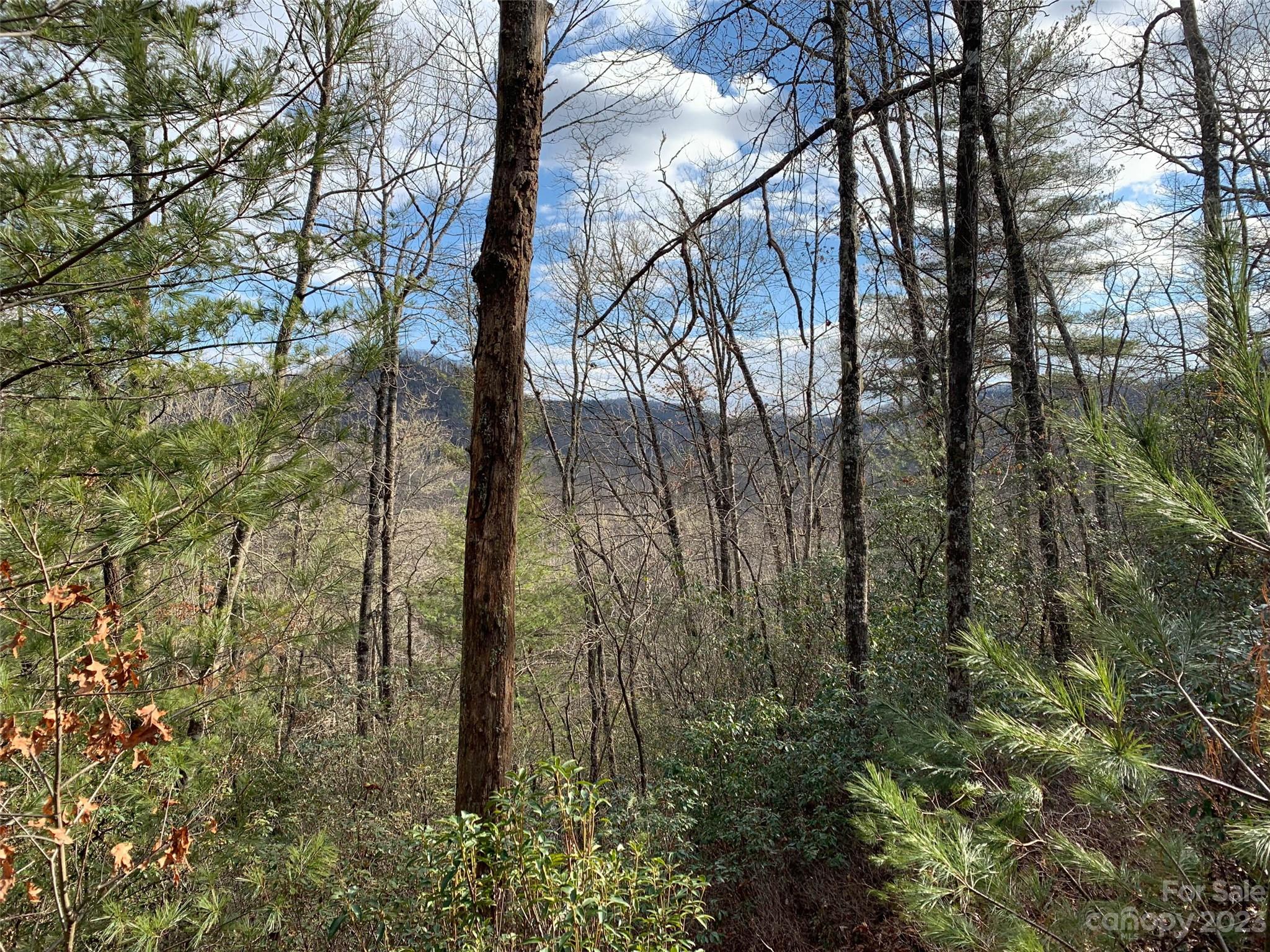 Big Hill - Land