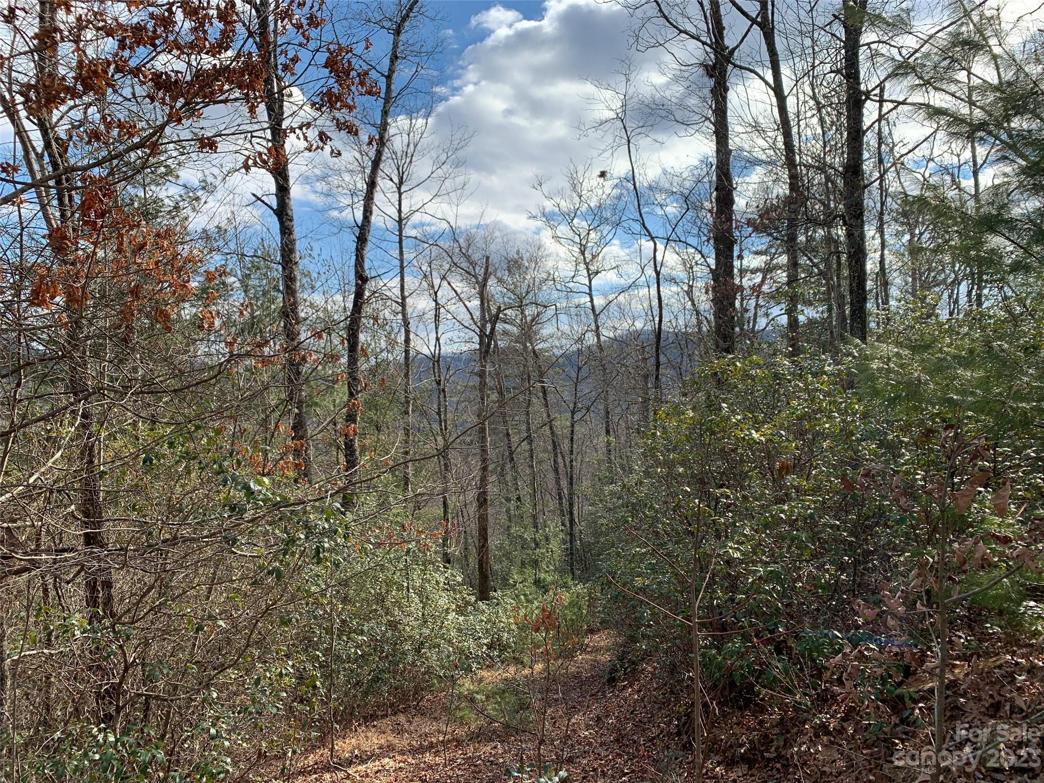 Big Hill - Land