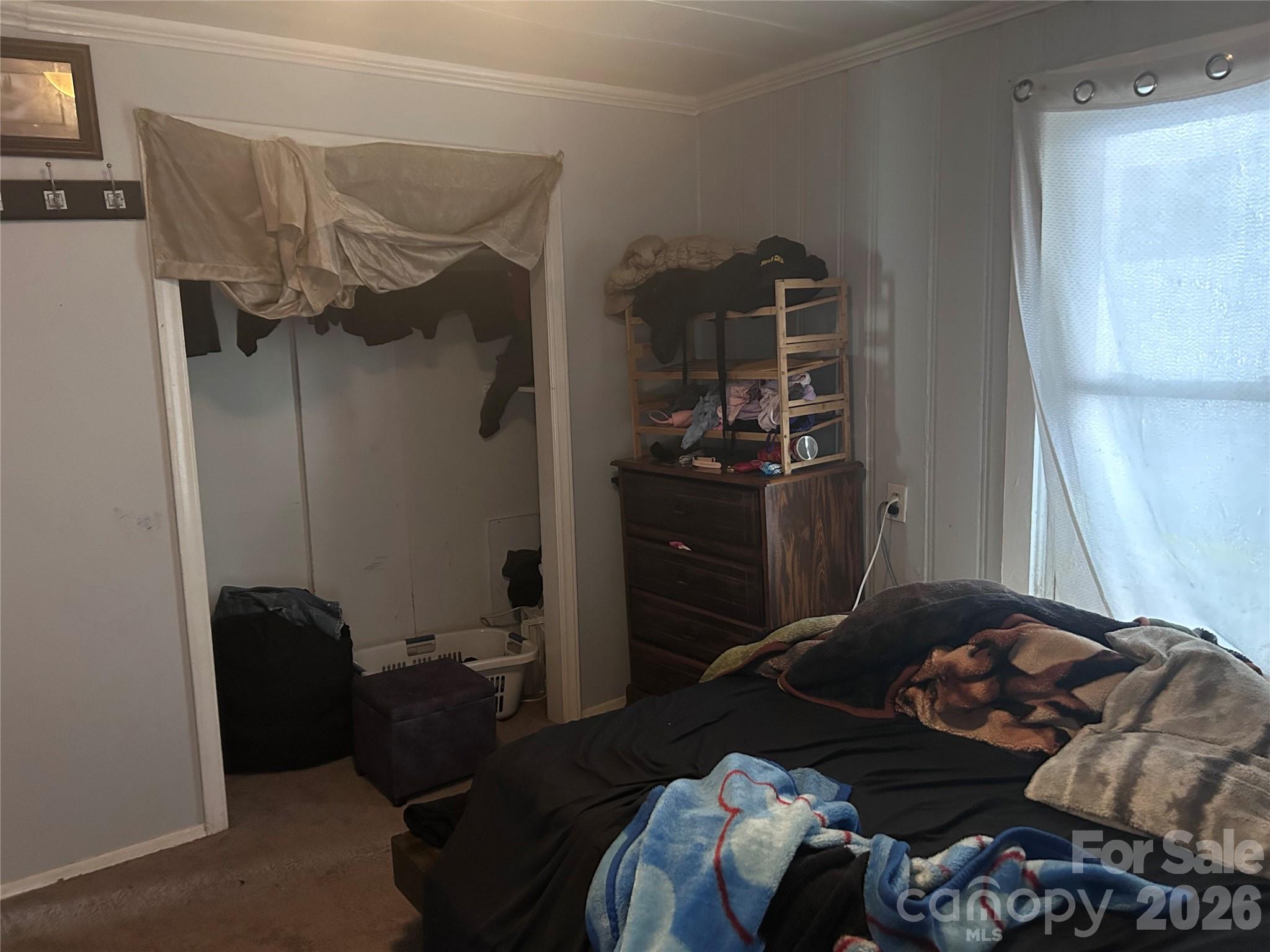Parkdale - Residential