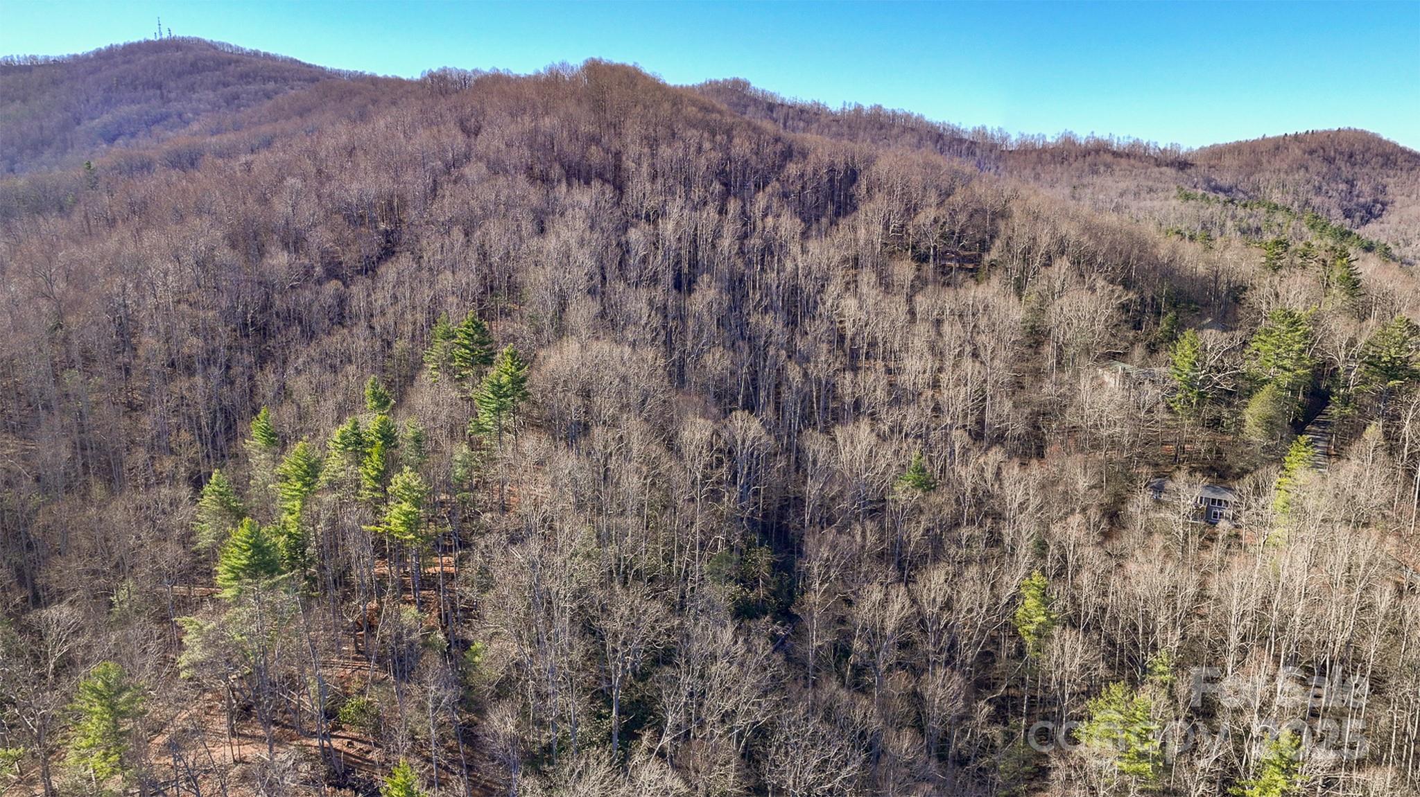 Swiss Pine Lake - Land