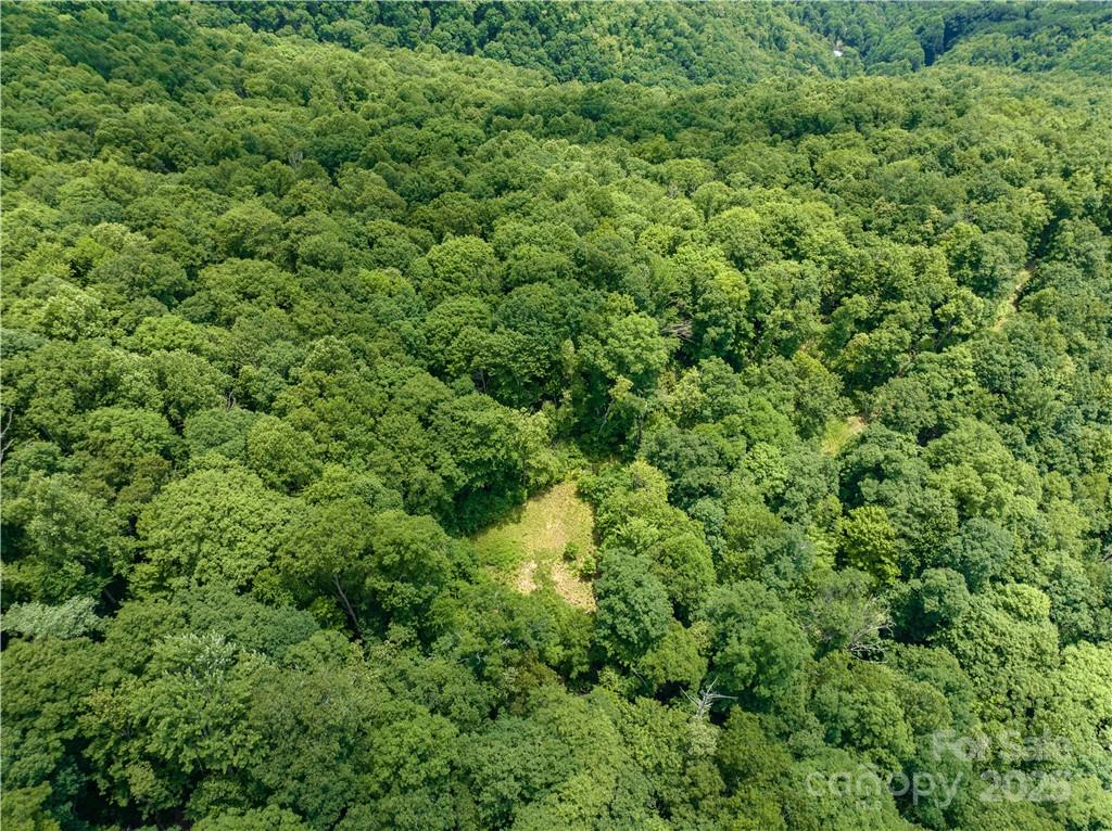 Sylva Vista Development - Land