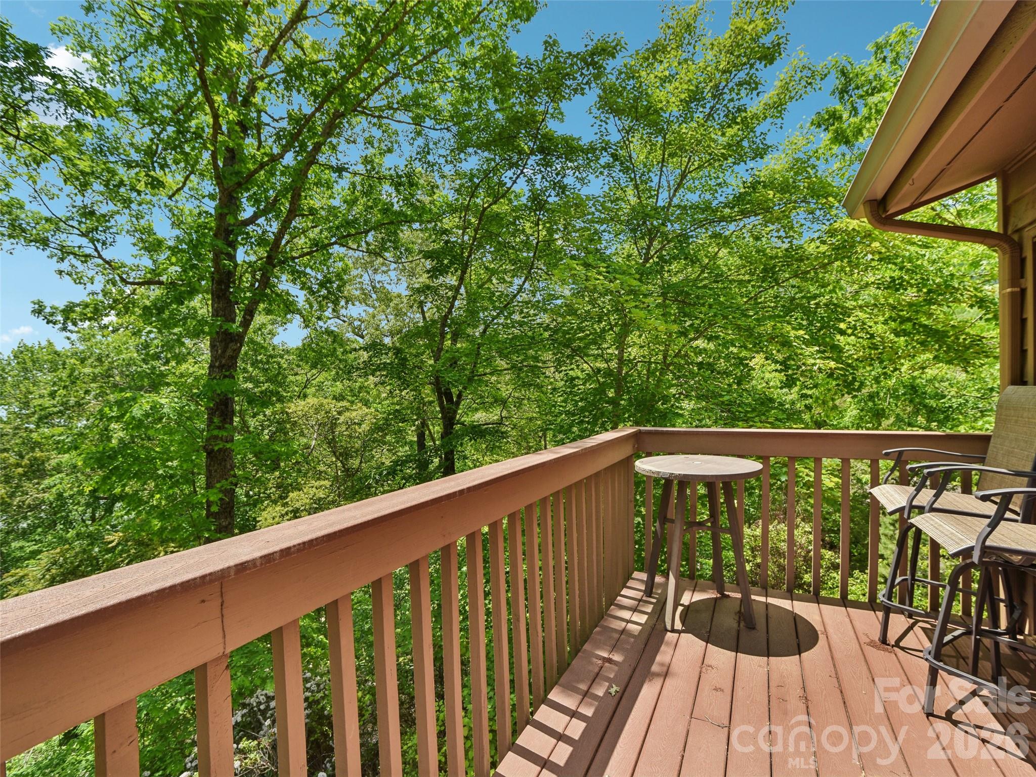 Rumbling Bald on Lake Lure - Residential