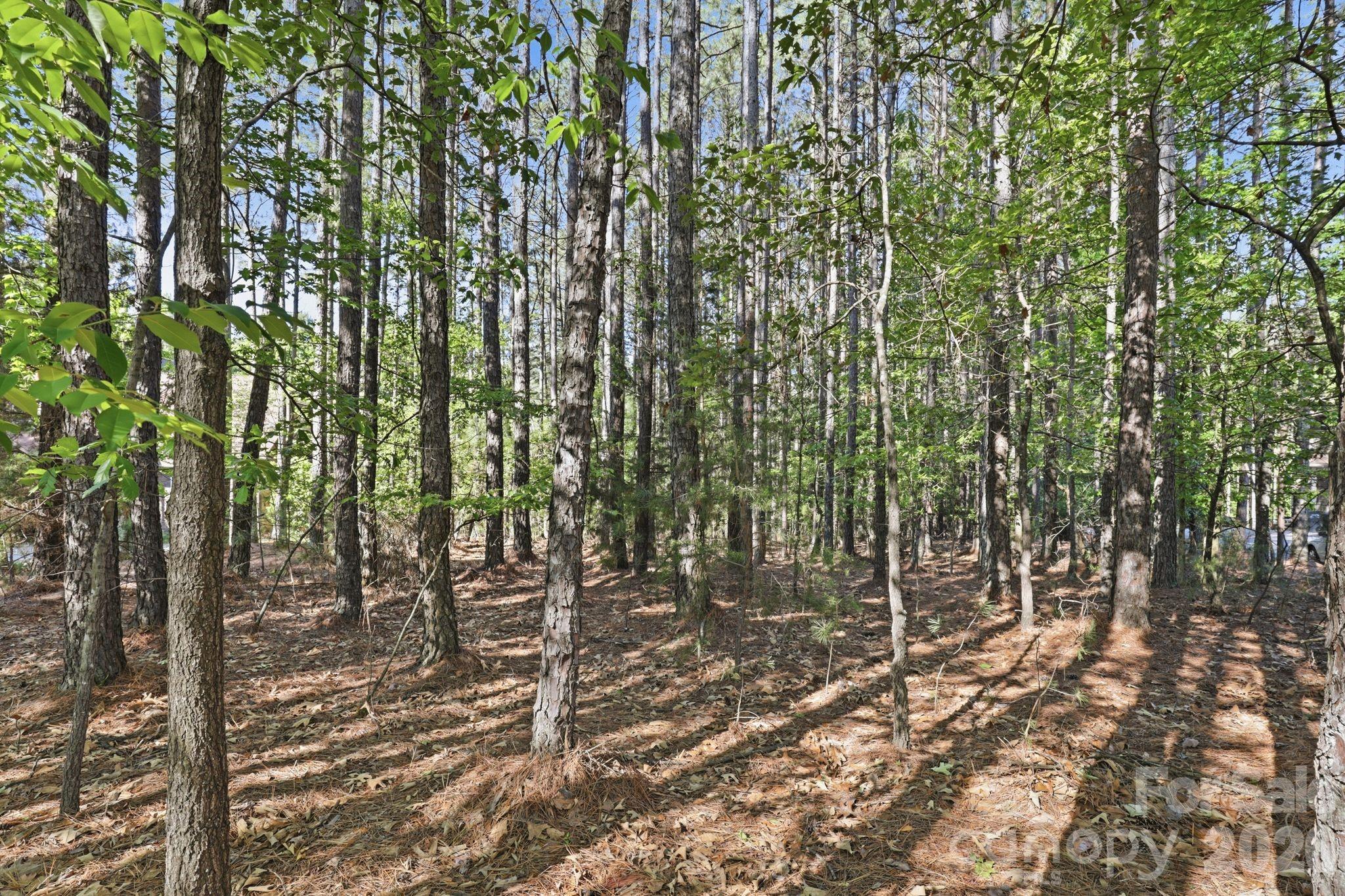 Woodleaf - Land