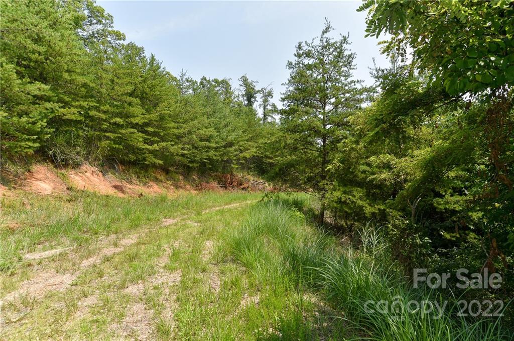 COME TAKE YOUR PICK!  Great, easy to build lots in platted subdivision.  Affordably priced!  Build confidently in this community of homes.  Has underground power and fiber optics available.  A great place to work from home!  Located between Mars Hill and Marshall, NC. Easy, convenient drive to groceries, restaurants, stores, and schools.