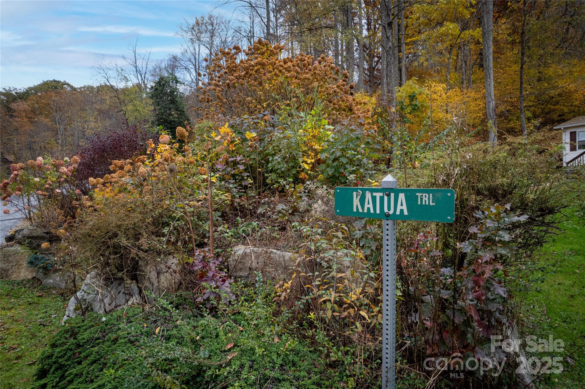 Katua Falls - Land
