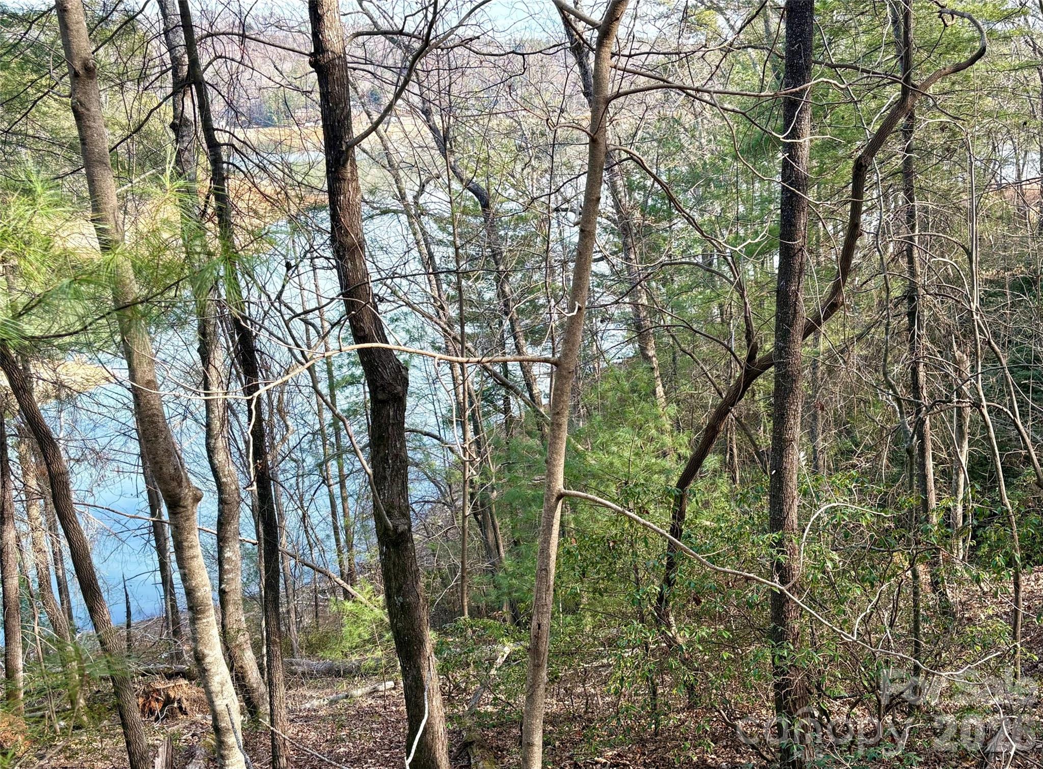 Step back in time as you enter the gates of this one-of-a-kind lake community. This exceptional lot sits at the end of a quiet cul-de-sac, offering a secluded setting with beautiful views of Lake Lure. Spend your days boating, kayaking, fishing, , swimming at the community beach or .hiking. Enjoy abundant green spaces filled with wildlife, scenic trails ,and a peaceful waterfall. Community amenities include a gymnasium ,gathering lodge ,workout room ,community marina and inviting gathering spaces. A 3-bedroom community guest house is available to rent for a small fee—perfect for hosting overflow guests. Perfect for year round, weekend getaway or short term rental.