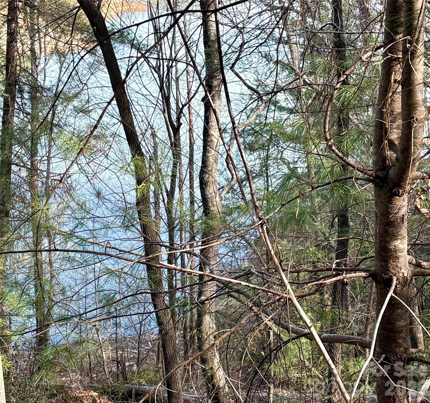 Lake Lure Village Resort - Land