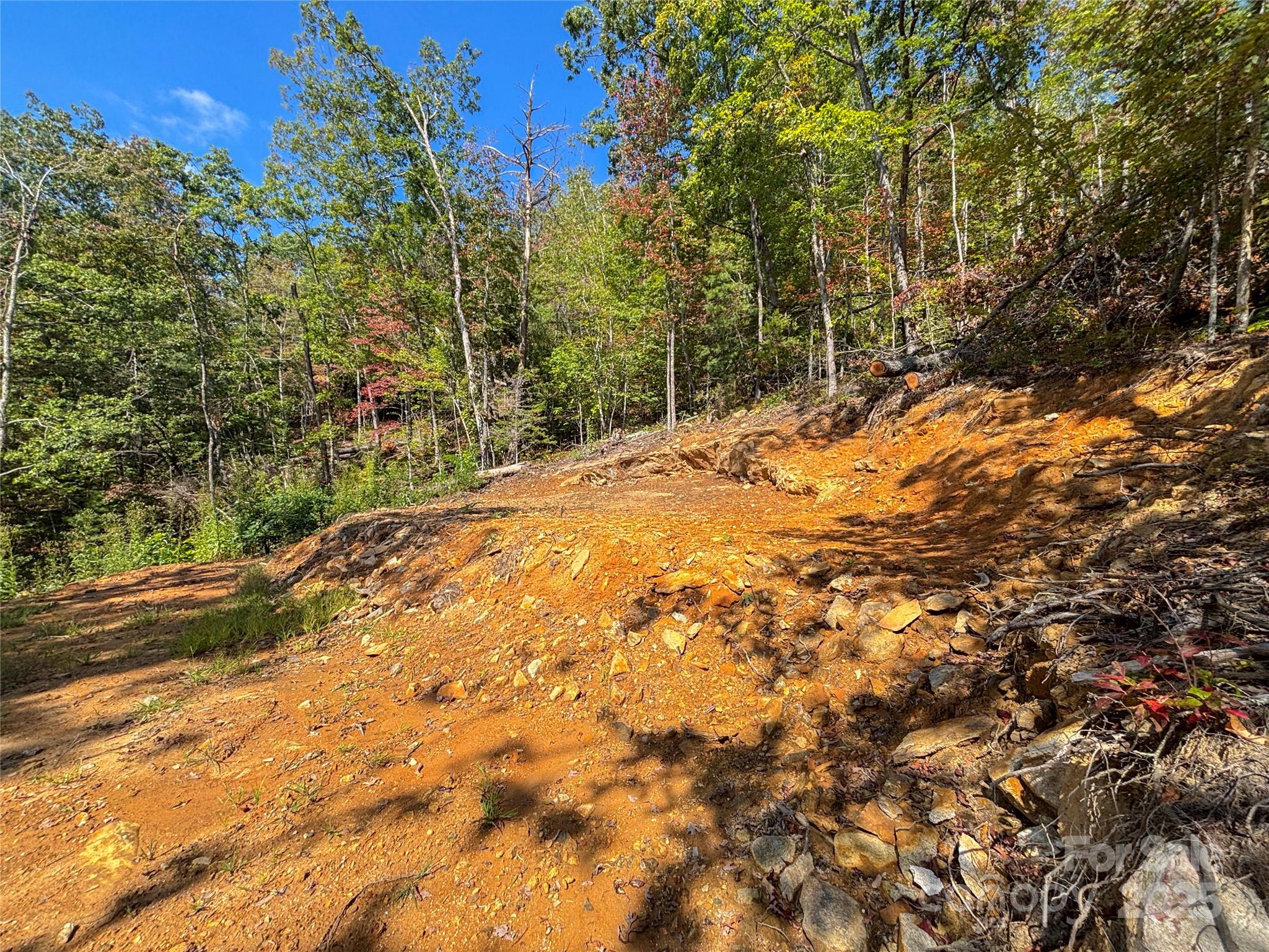 Cedar Creek Farms - Land