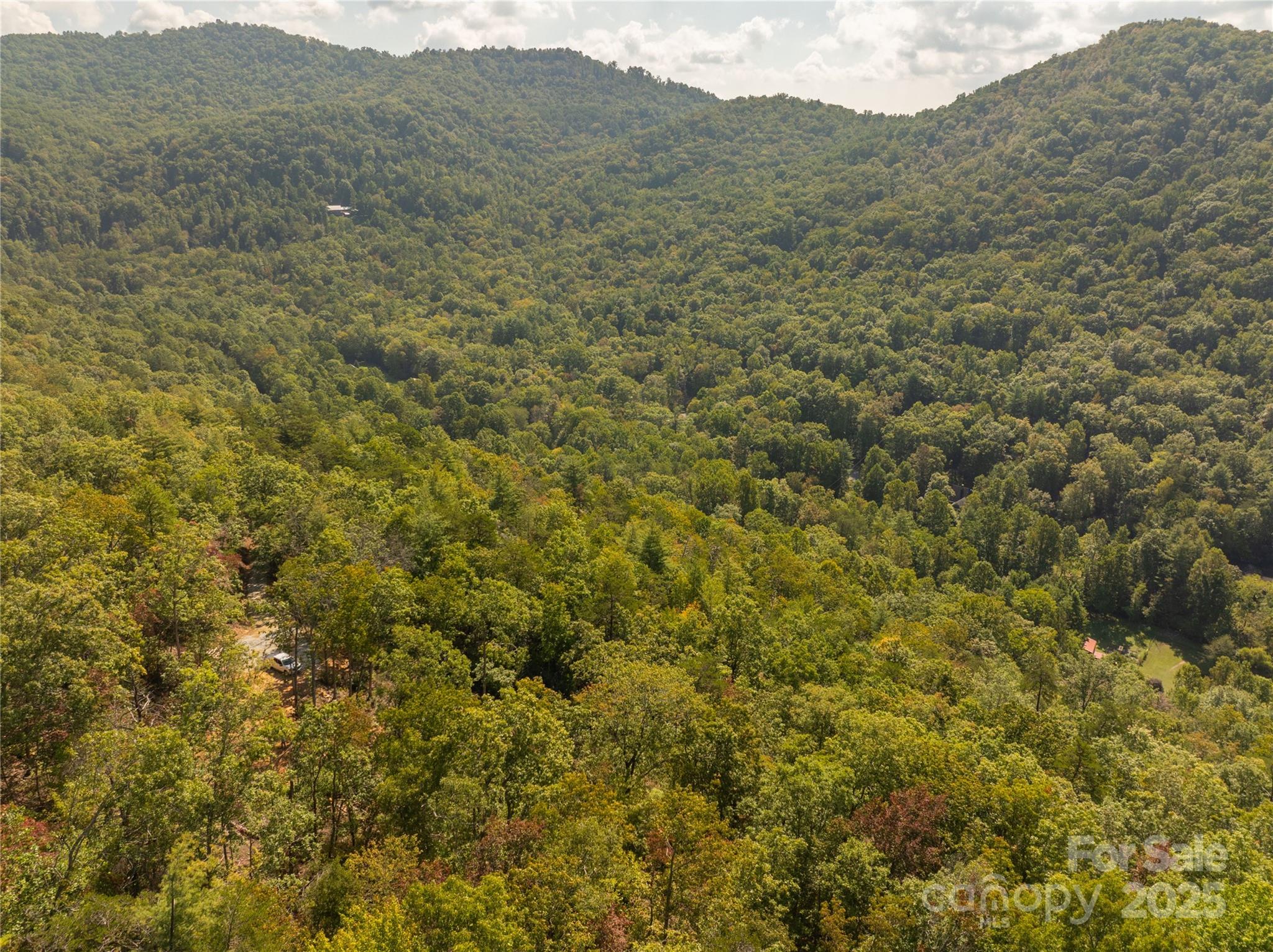 Cedar Creek Farms - Land