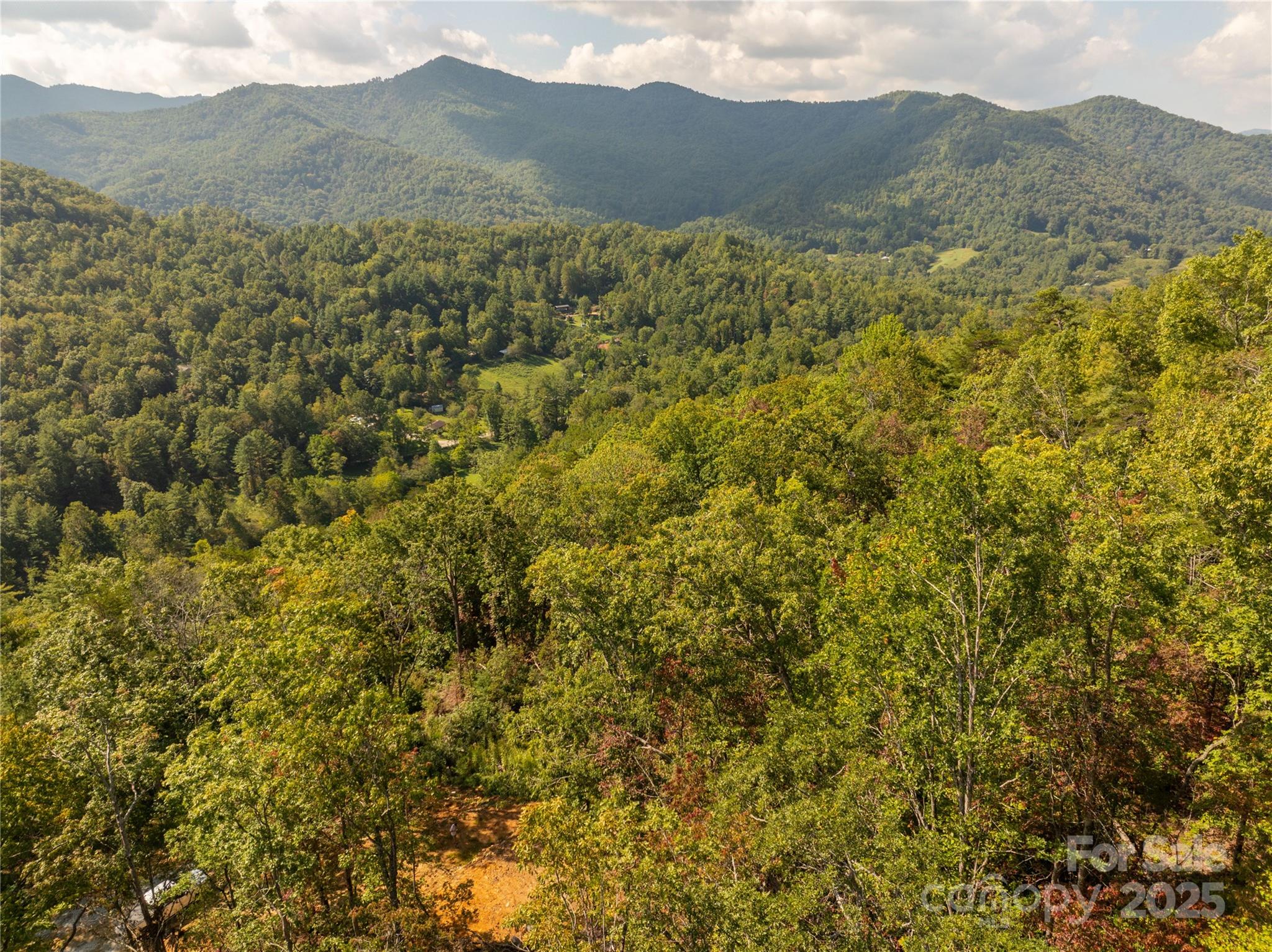 Cedar Creek Farms - Land