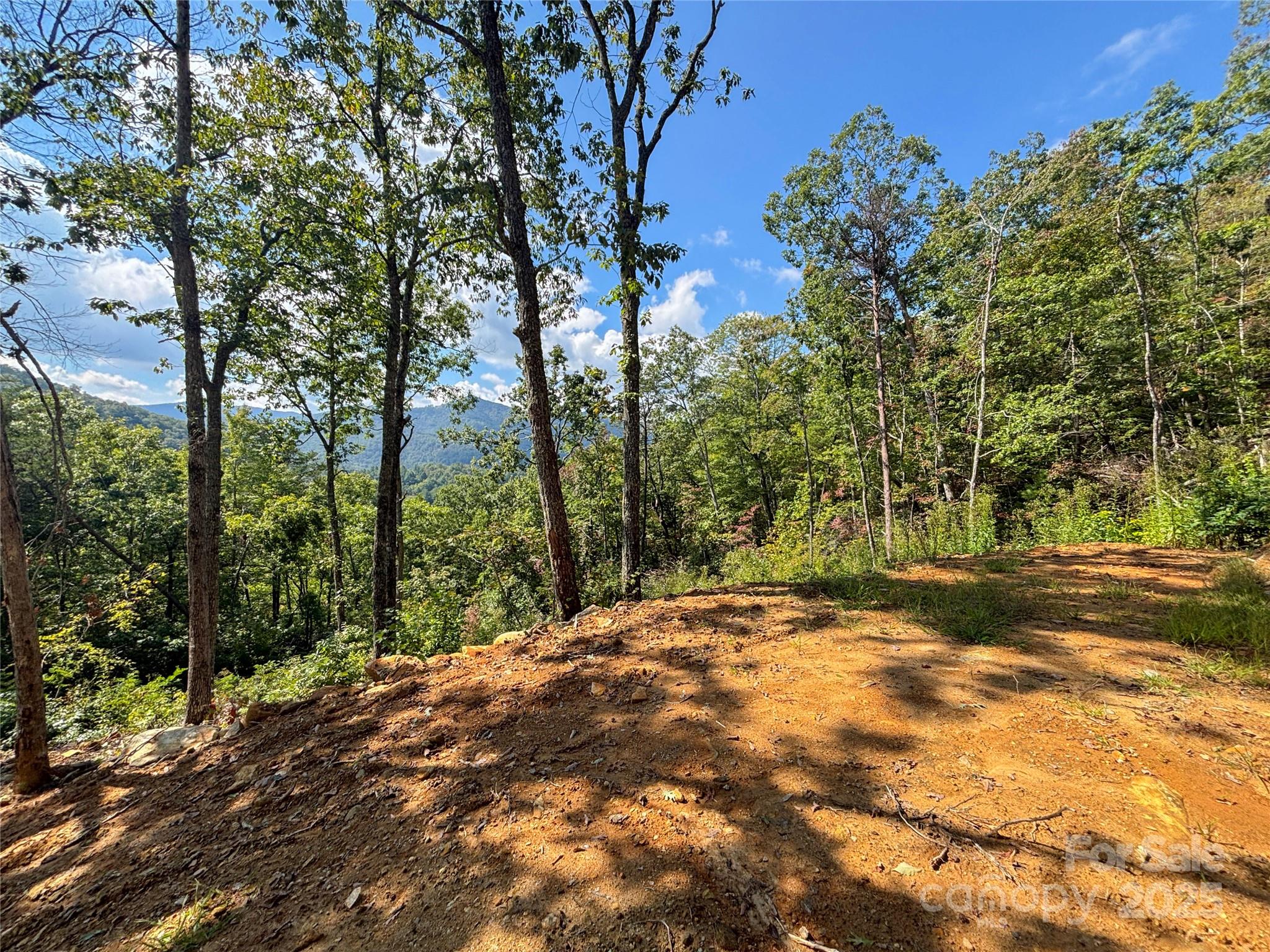 Cedar Creek Farms - Land