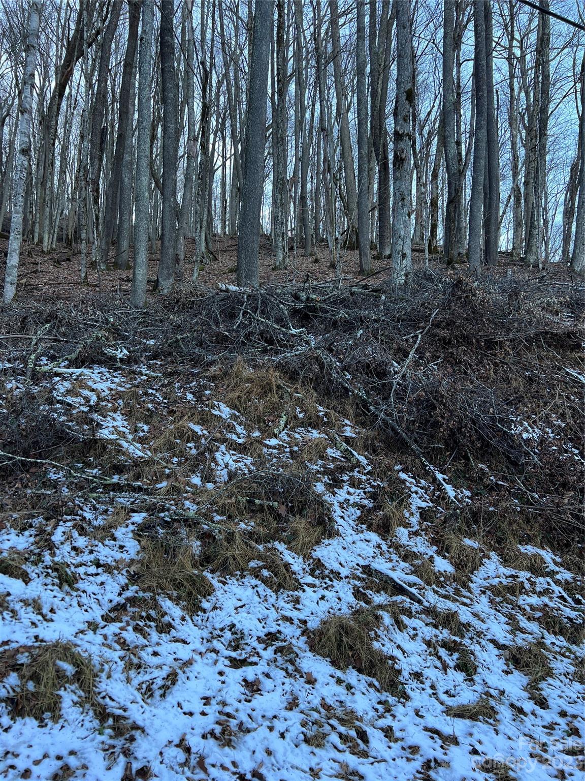 Wolf Laurel - Land