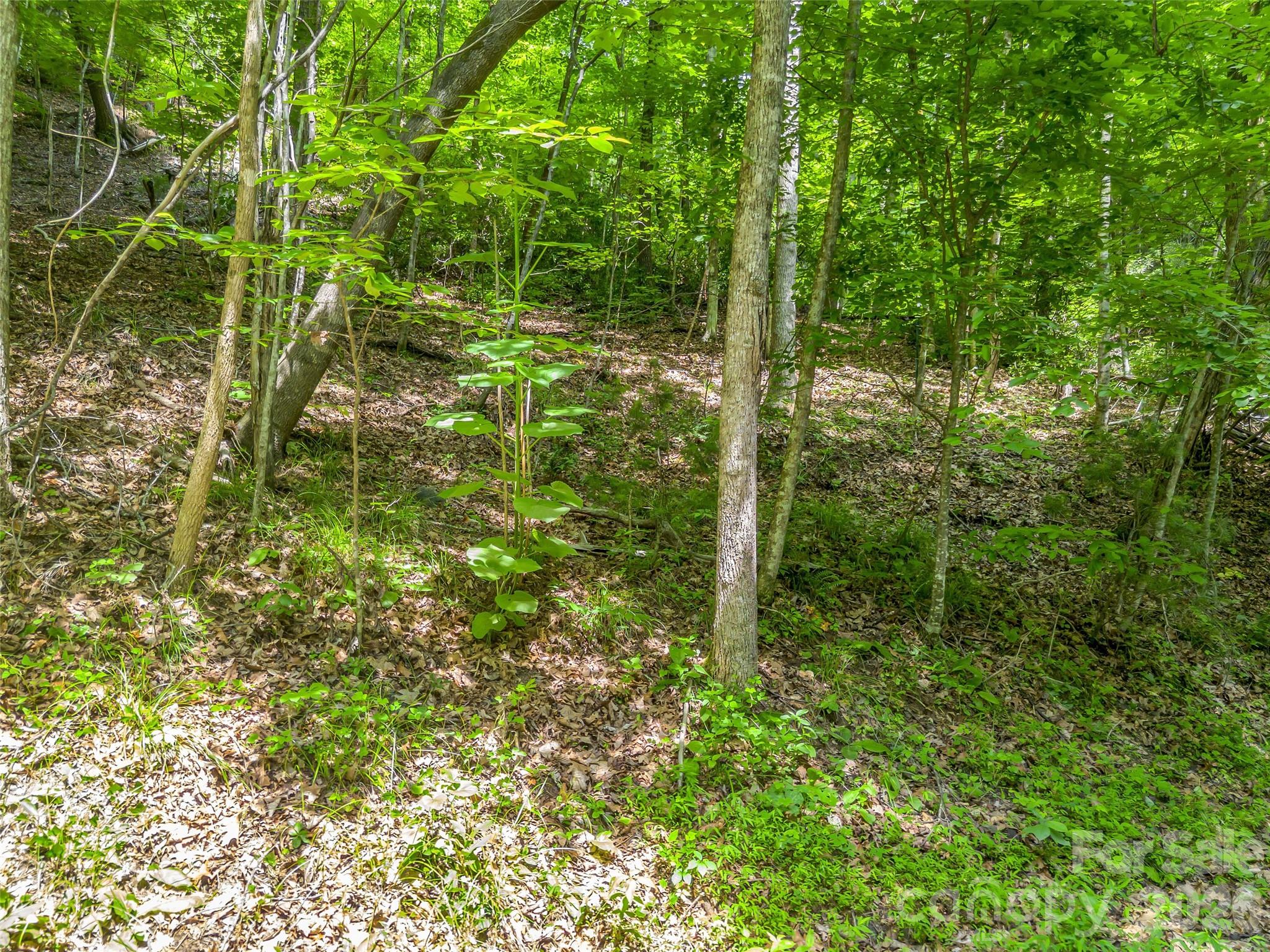 Riverbend at Lake Lure - Land